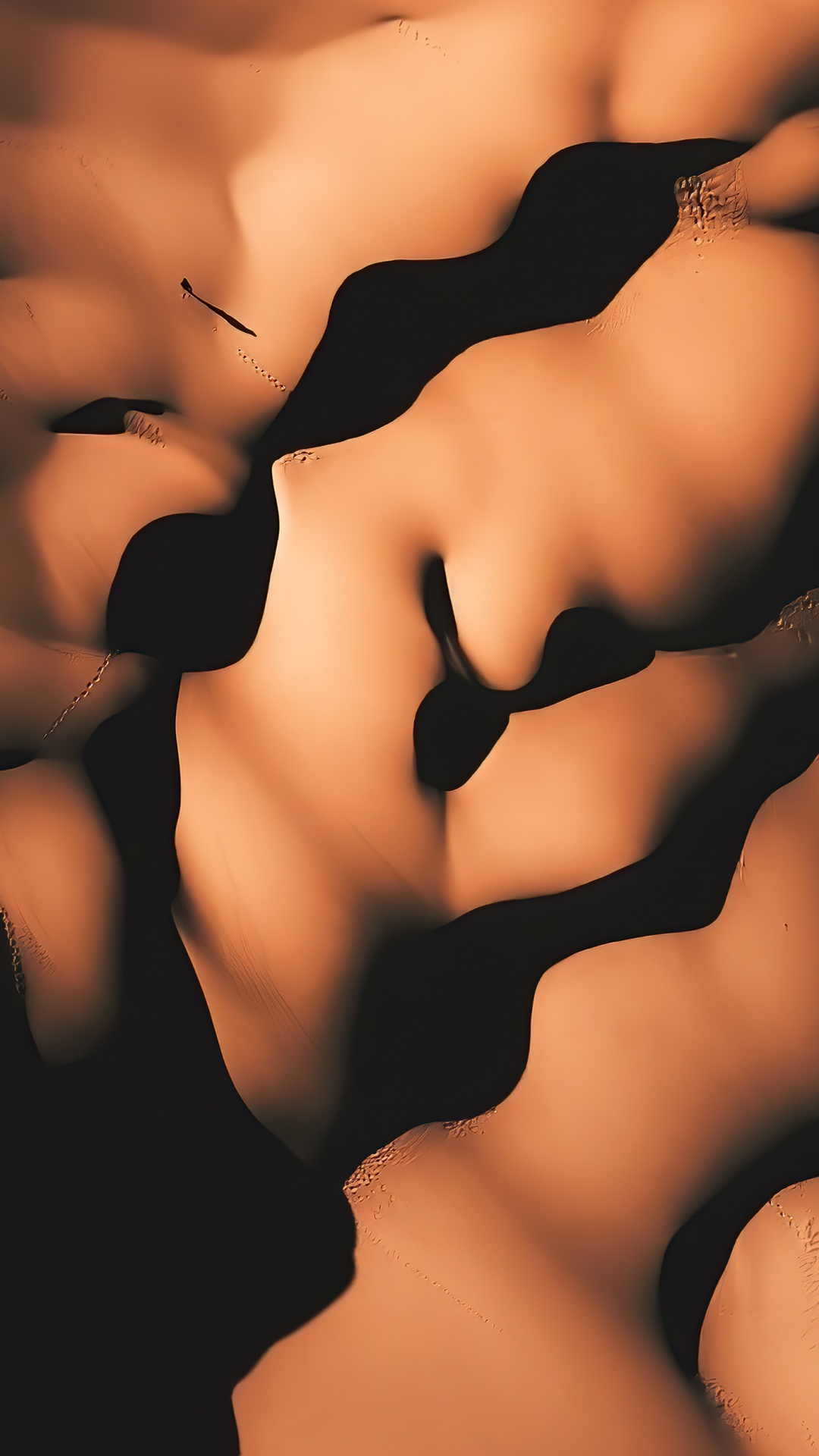 Close Up, Menschliche Biologie, Menschliches Skelett, Biologie, Hals. Wallpaper in 1080x1920 Resolution