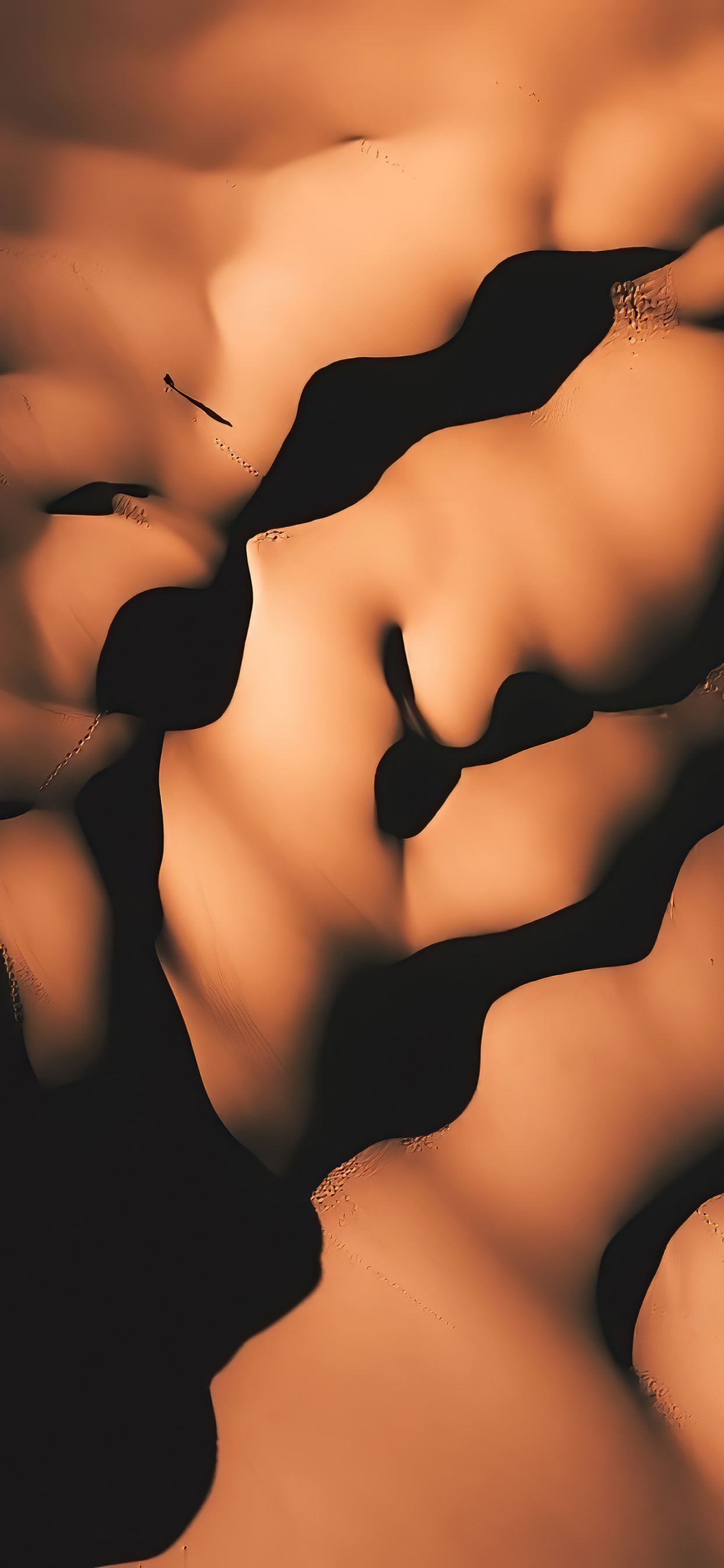 Close Up, Menschliche Biologie, Menschliches Skelett, Biologie, Hals. Wallpaper in 1242x2688 Resolution