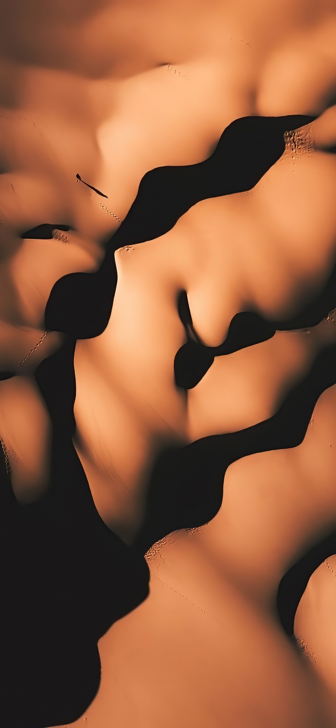 de Cerca, Biología Humana, Esqueleto Humano, Biología, Cuello. Wallpaper in 1125x2436 Resolution