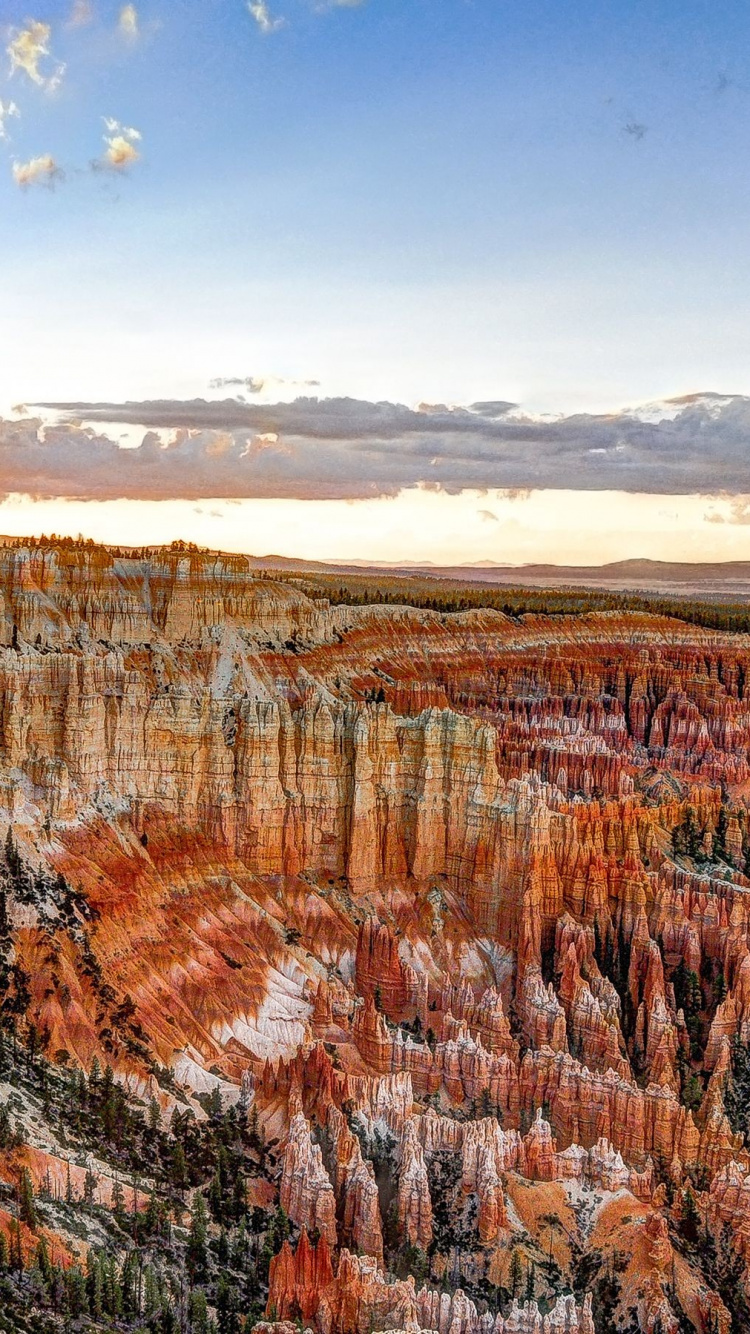 Árboles Marrones y Verdes Bajo un Cielo Azul Durante el Día. Wallpaper in 750x1334 Resolution