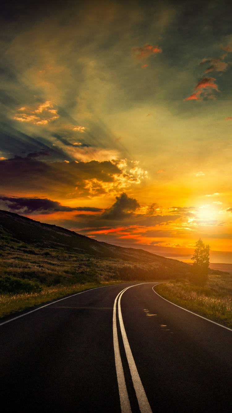 Gray Asphalt Road Between Green Grass Field During Sunset. Wallpaper in 750x1334 Resolution