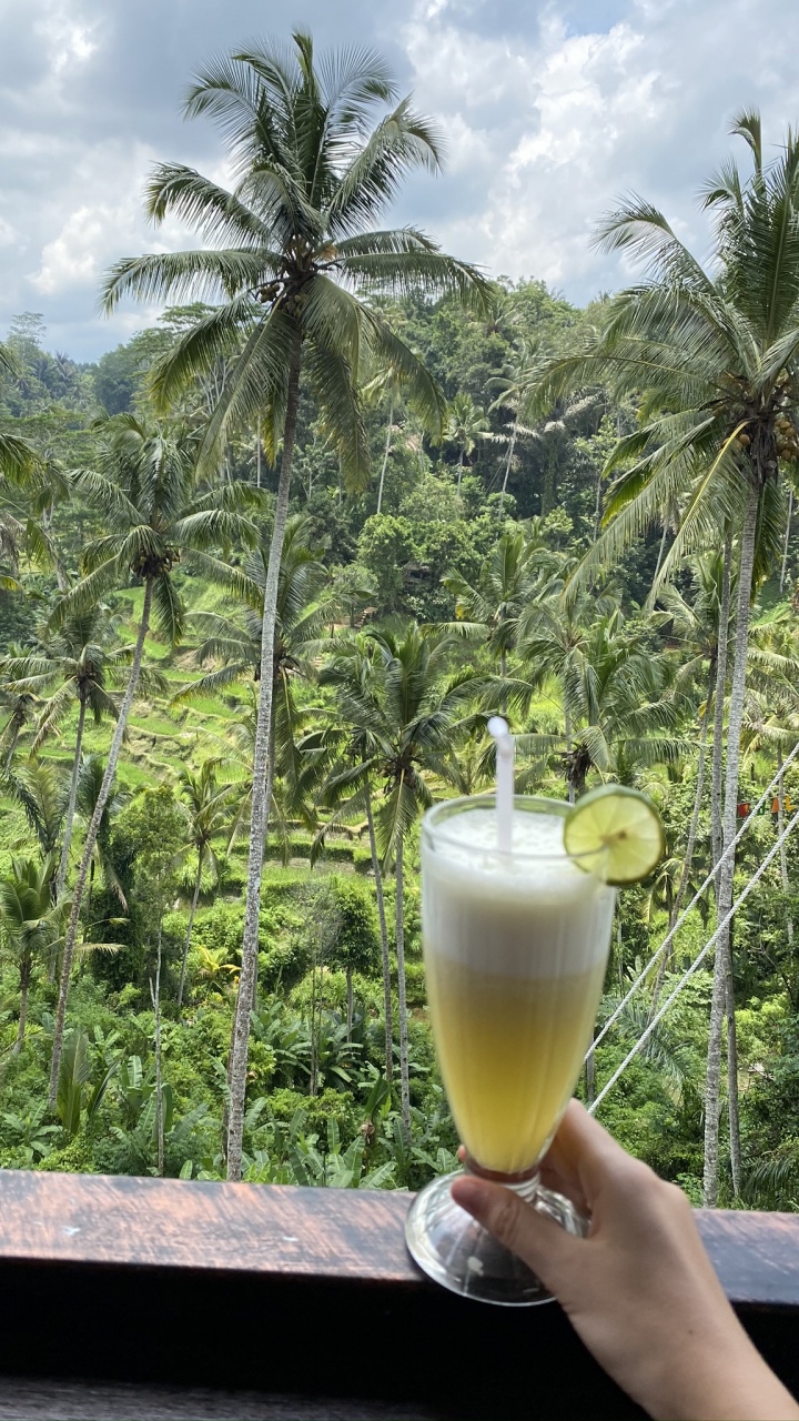 Coco, Agua, Palmera, Ciencia, Biología. Wallpaper in 720x1280 Resolution