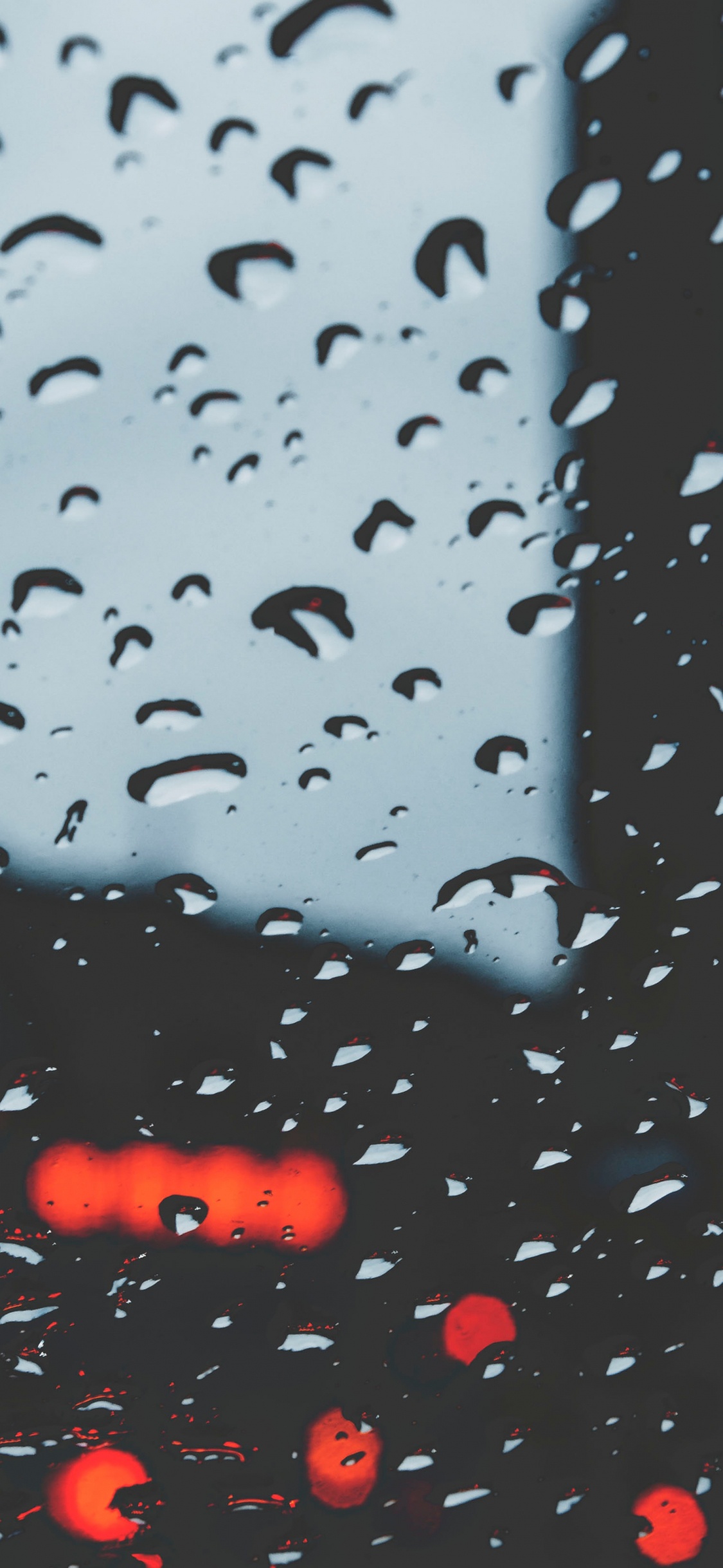 Lluvia, Agua, Llovizna, Precipitación, Ventana. Wallpaper in 1125x2436 Resolution