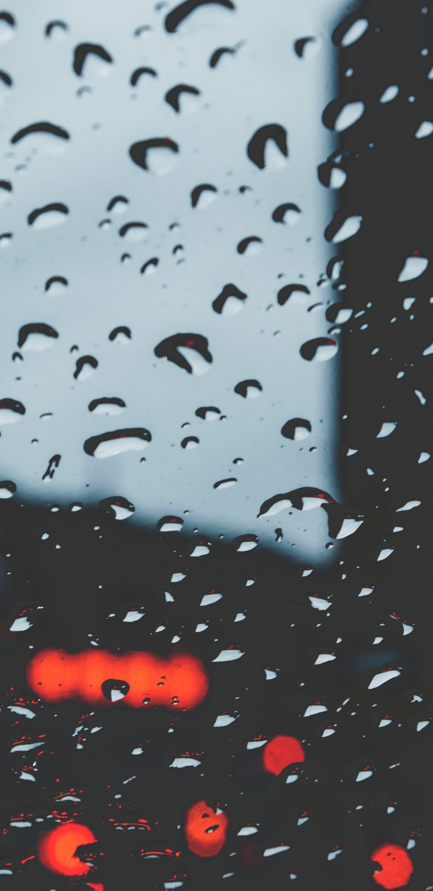 Lluvia, Agua, Llovizna, Precipitación, Ventana. Wallpaper in 1440x2960 Resolution