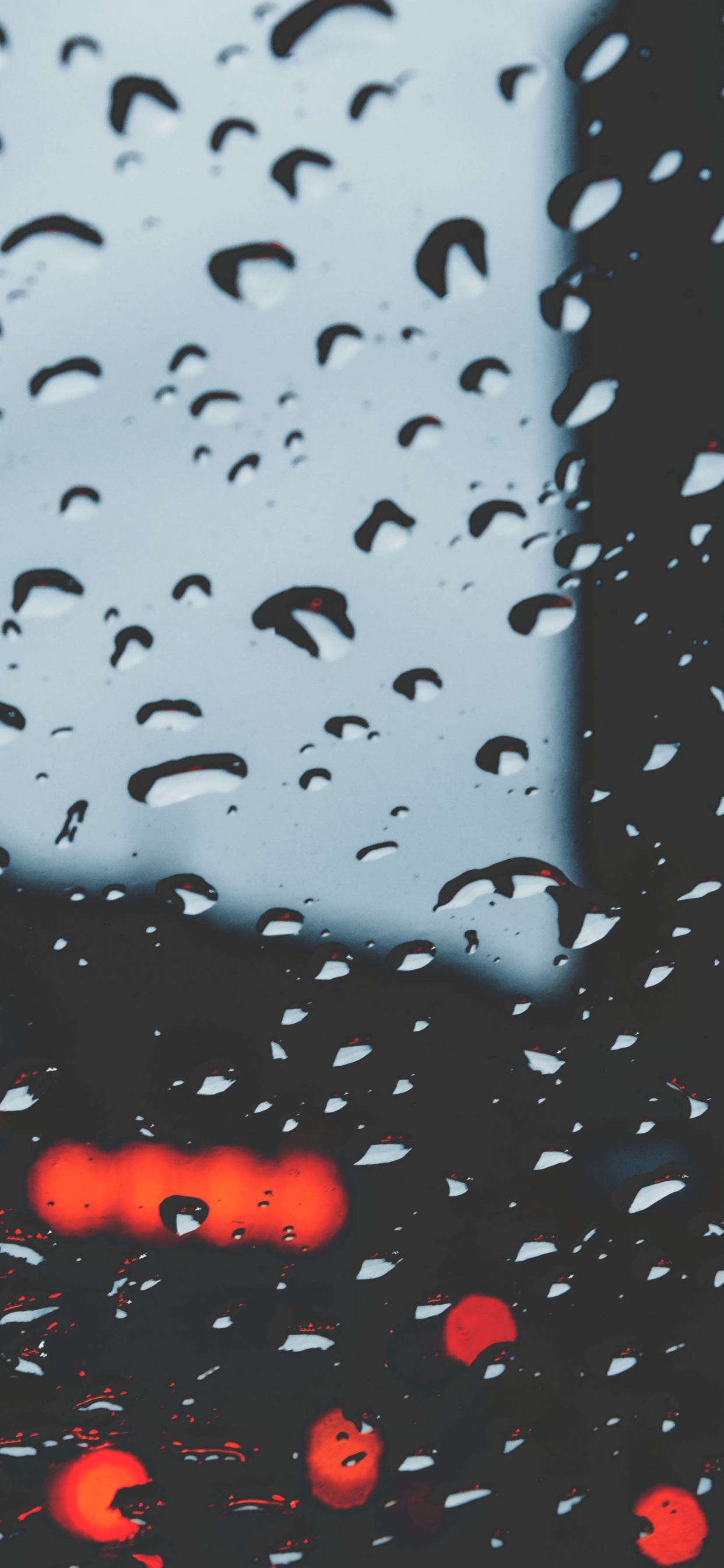 放下, 小雨, 降水, 液体, 天空 壁纸 1242x2688 允许