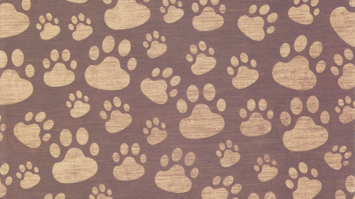 爪子, 棕色, 小狗, 视觉艺术, 黄金猎犬 壁纸 1366x768 允许