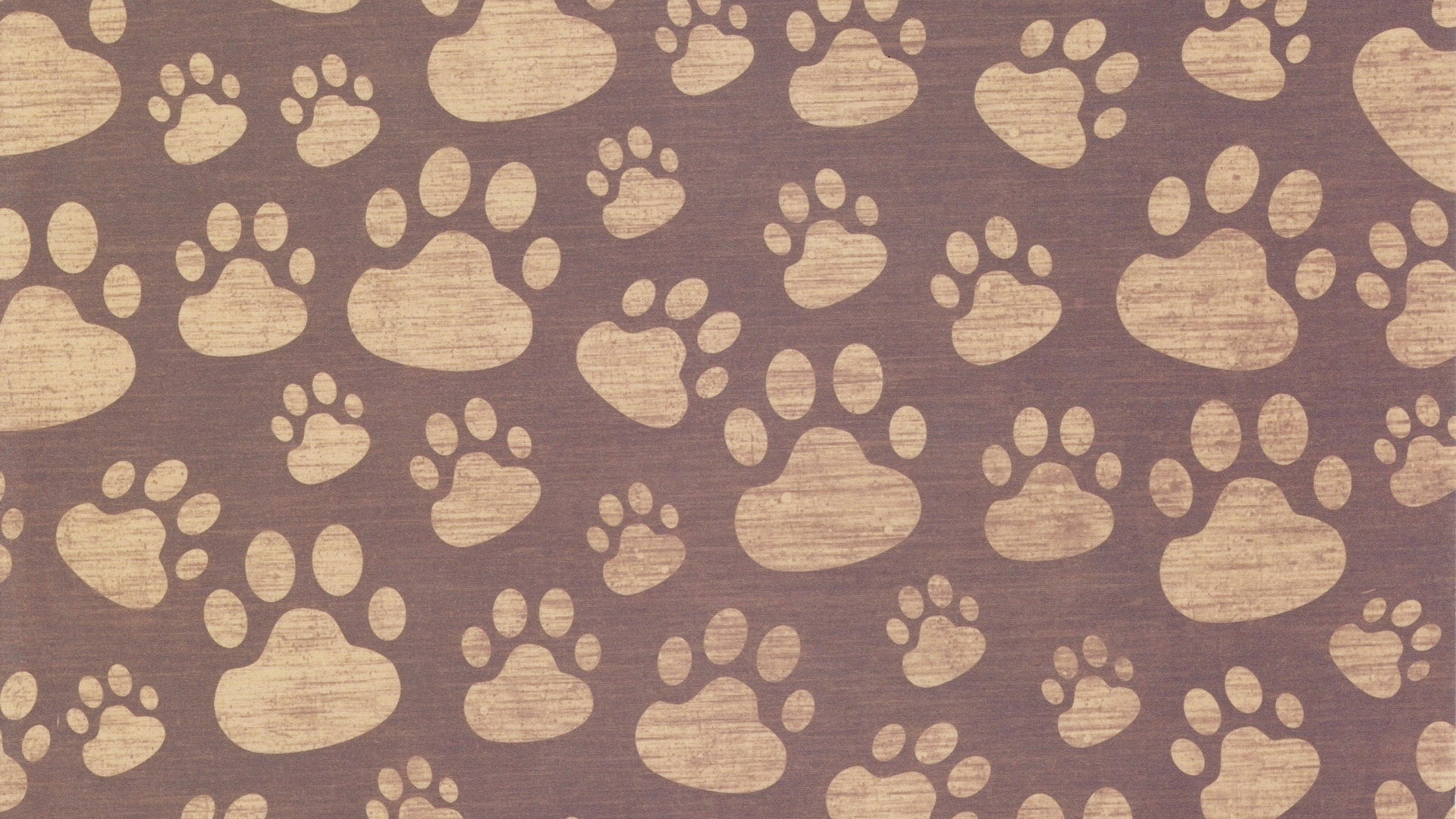爪子, 棕色, 小狗, 视觉艺术, 黄金猎犬 壁纸 1920x1080 允许