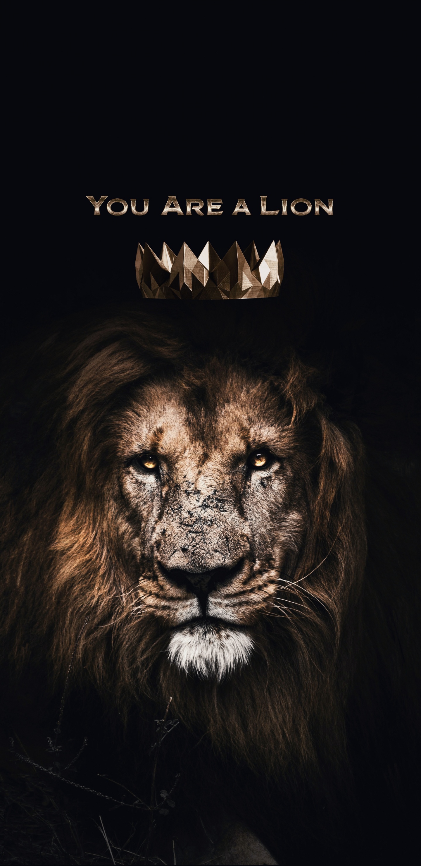 Lion, Art-decal, Carnivore, Felidae, Big Cats. Wallpaper in 1440x2960 Resolution