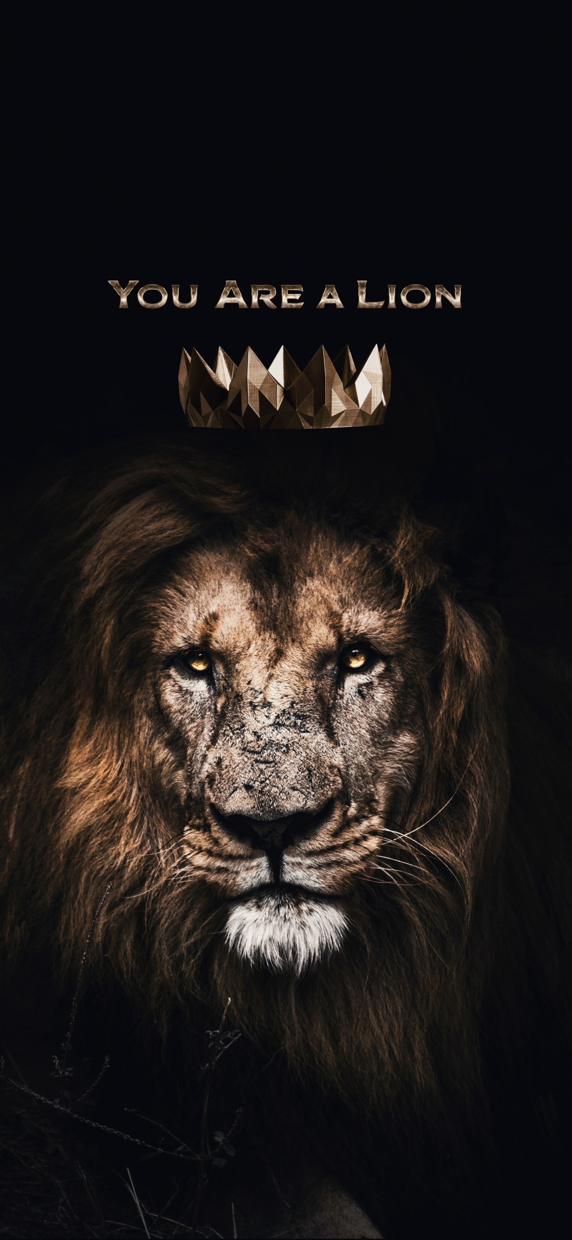 Lion, Art-décalcomanie, Carnivores, Felidae, Des Gros Chats. Wallpaper in 1125x2436 Resolution