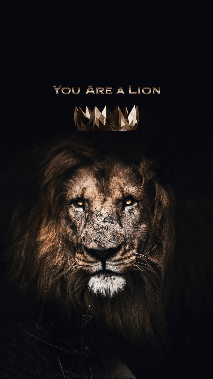 Lion, Art-décalcomanie, Carnivores, Felidae, Des Gros Chats. Wallpaper in 720x1280 Resolution