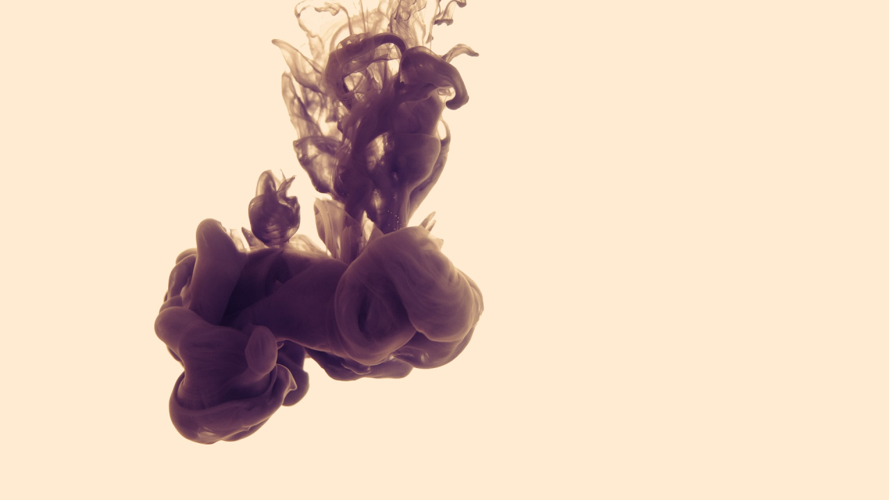 Illustration de Fleur en Noir et Blanc. Wallpaper in 1280x720 Resolution