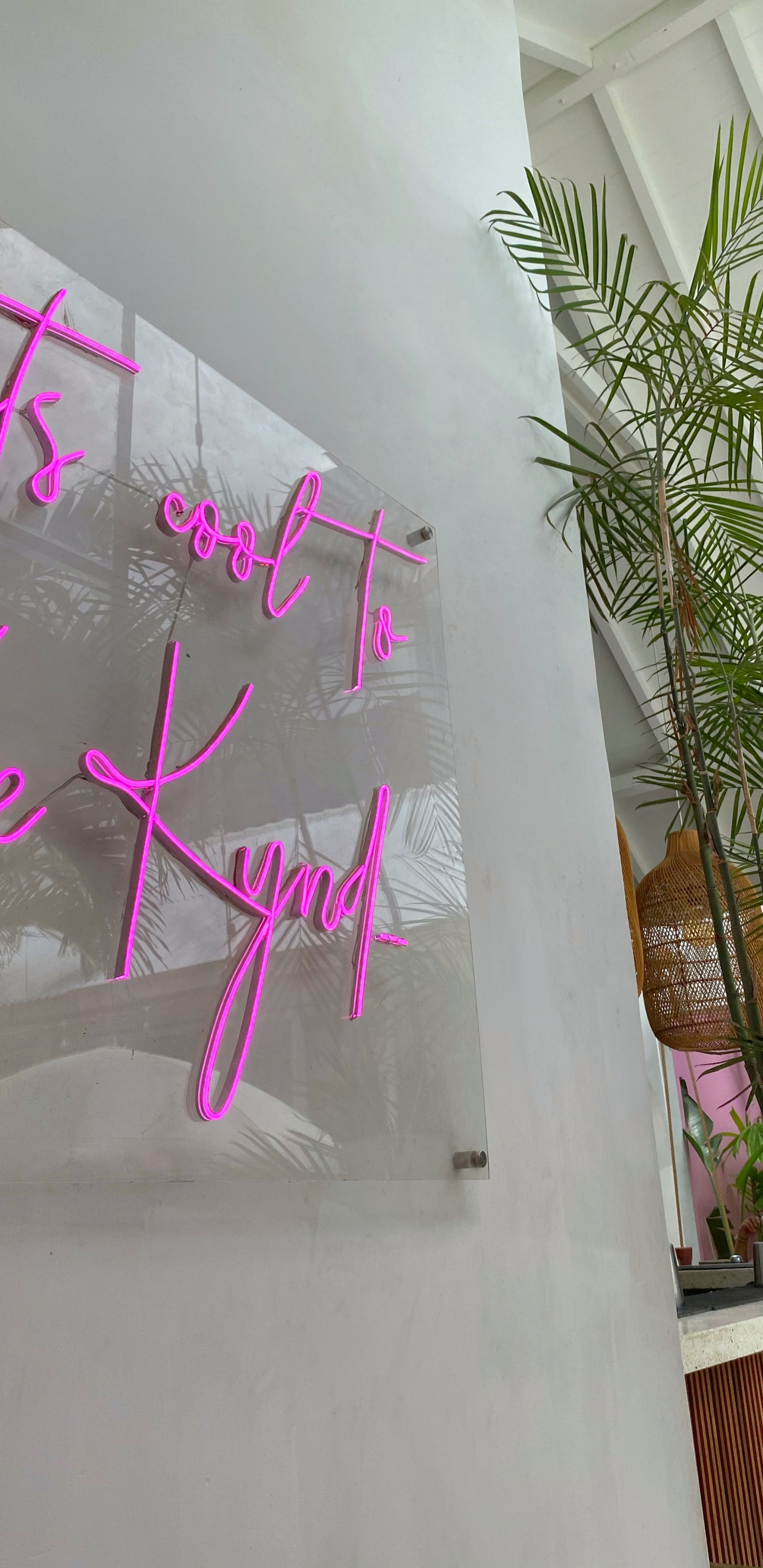 Diseño, Magenta, Rosa, Morado, Planta de Interior. Wallpaper in 1440x2960 Resolution