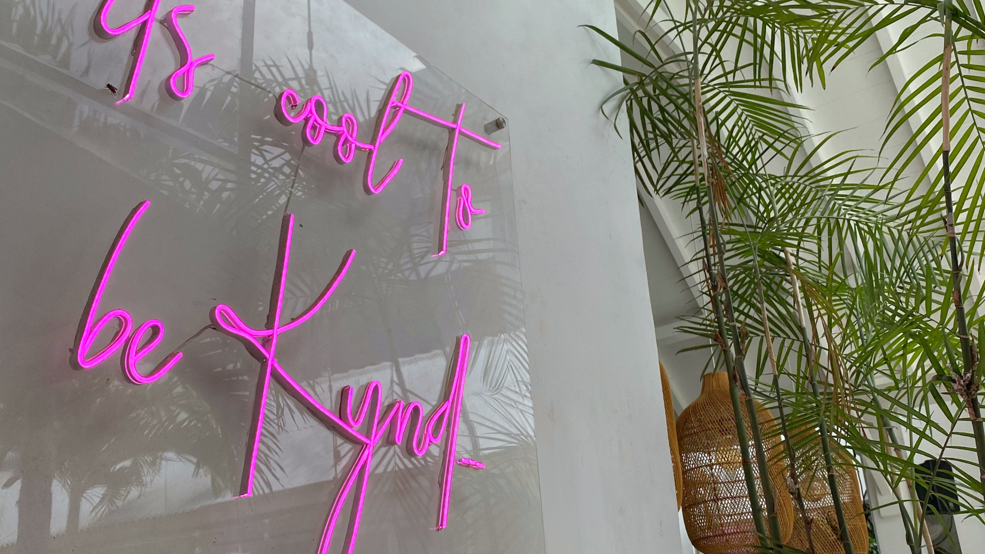 Wall, Design, Magenta, Pink, Purple. Wallpaper in 1920x1080 Resolution