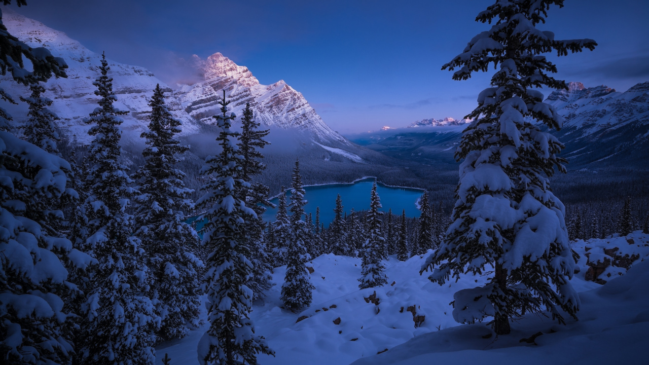 Schneebedeckte Kiefern Und Berge Tagsüber. Wallpaper in 1280x720 Resolution