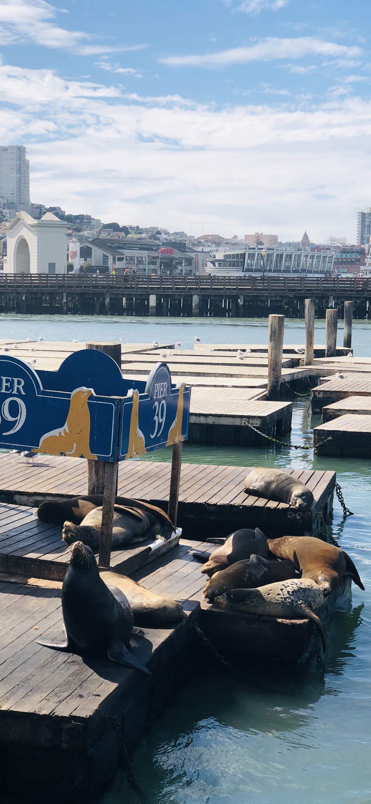 Pier, San Francisco, Pier 39, Boat, Tourism. Wallpaper in 1242x2688 Resolution