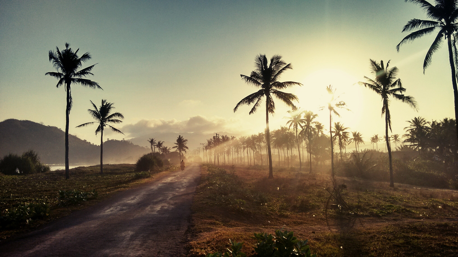 Green Coconut Trees Under Blue Sky During Daytime. Wallpaper in 1920x1080 Resolution