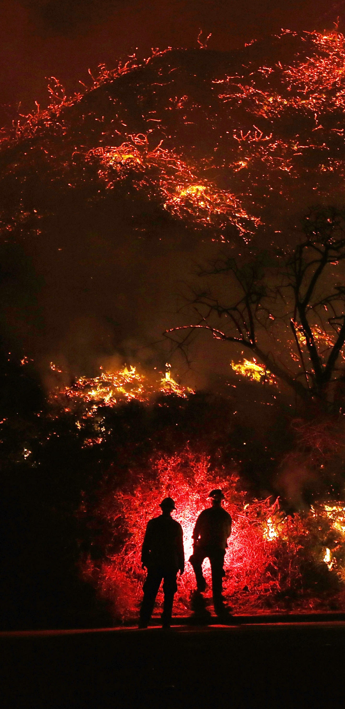 火焰, 爆炸, 托马斯·菲尔（Thomas Fire）, 热, 洛杉矶 壁纸 1440x2960 允许