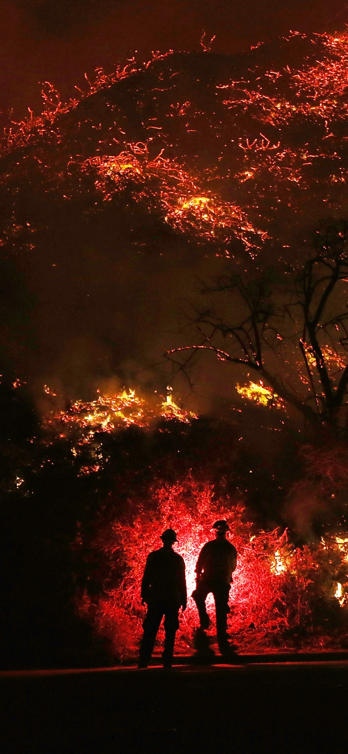 Silhouette of 2 Person Standing Near Trees During Night Time. Wallpaper in 1125x2436 Resolution