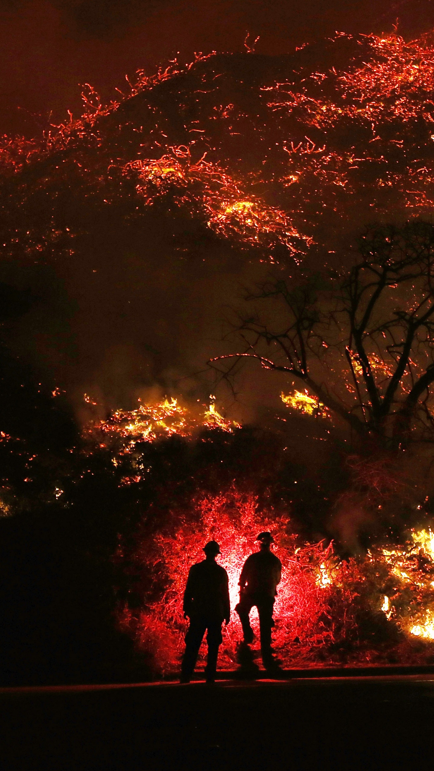Silhouette of 2 Person Standing Near Trees During Night Time. Wallpaper in 1440x2560 Resolution