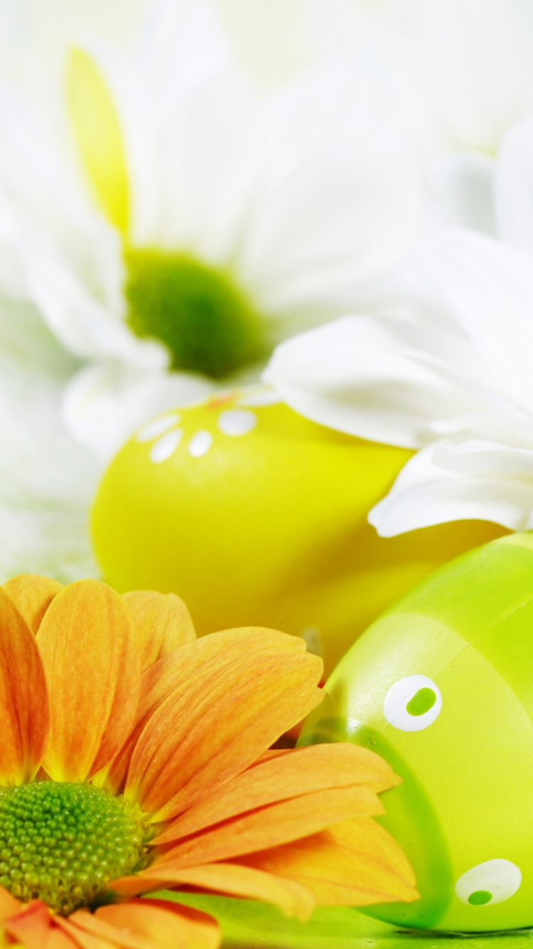 Easter Egg, Yellow, Flower, Petal, Still Life. Wallpaper in 750x1334 Resolution