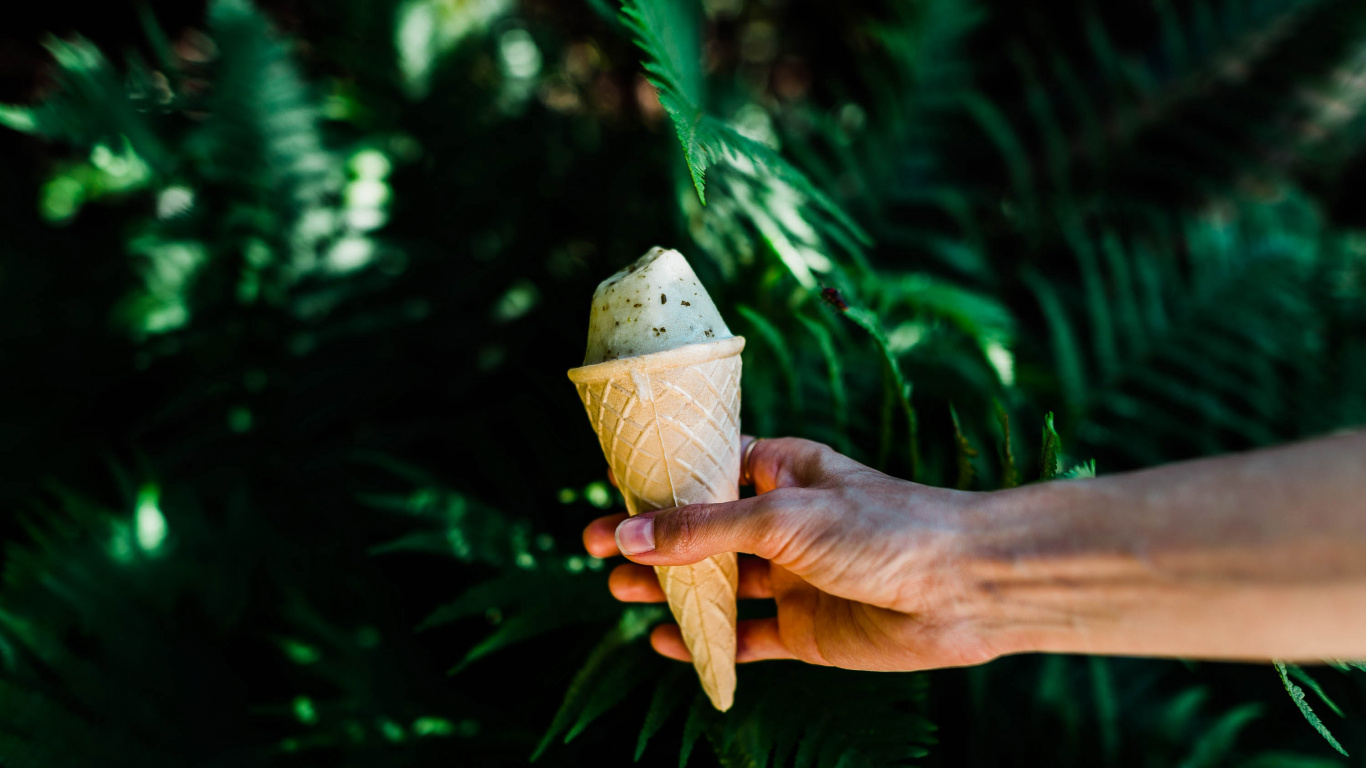 Persona Sosteniendo un Cono de Helado Marrón y Blanco. Wallpaper in 1366x768 Resolution