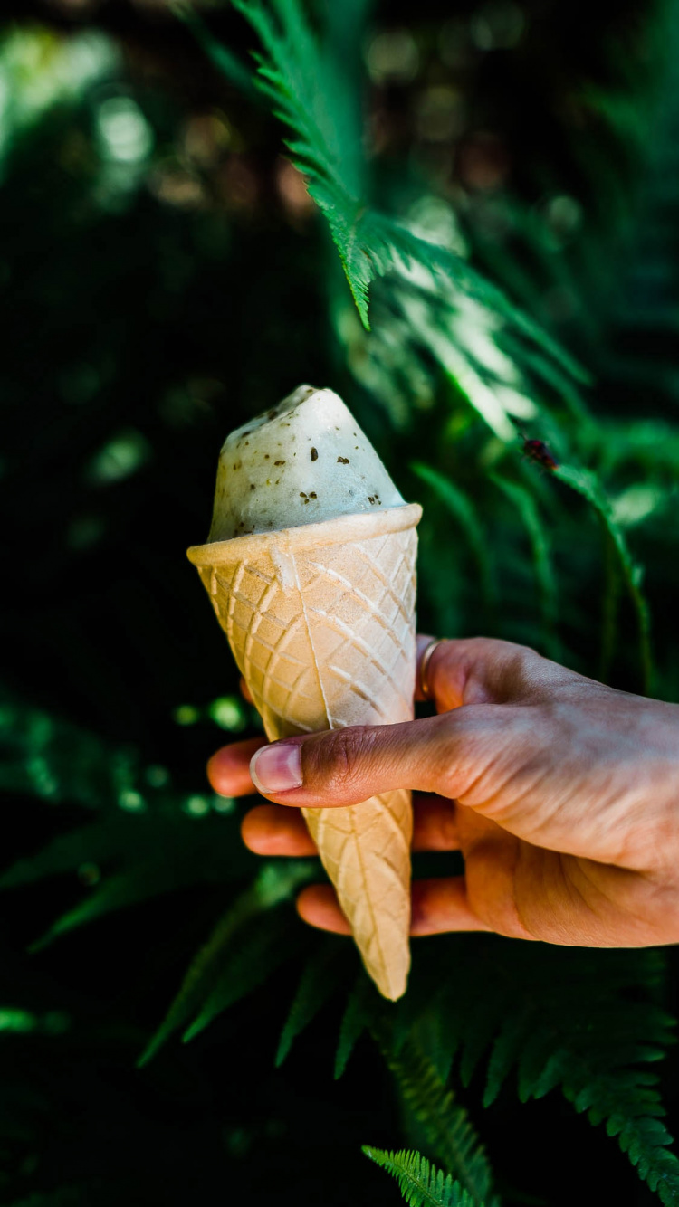 Persona Sosteniendo un Cono de Helado Marrón y Blanco. Wallpaper in 750x1334 Resolution