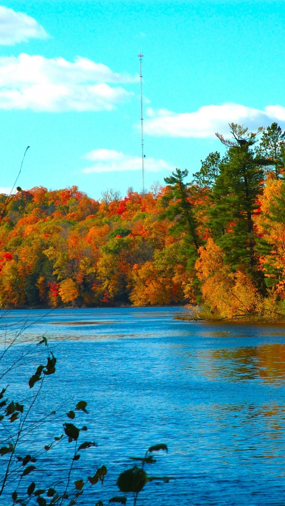 性质, 自然景观, 反射, 自然环境, 荒野 壁纸 1080x1920 允许
