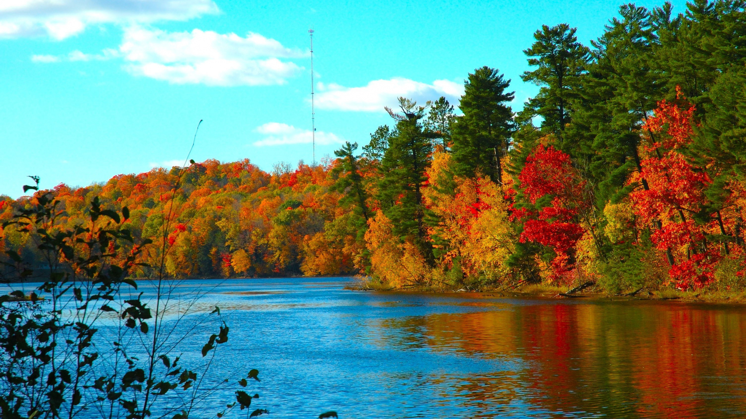 Red and Green Trees Beside Body of Water During Daytime. Wallpaper in 2560x1440 Resolution