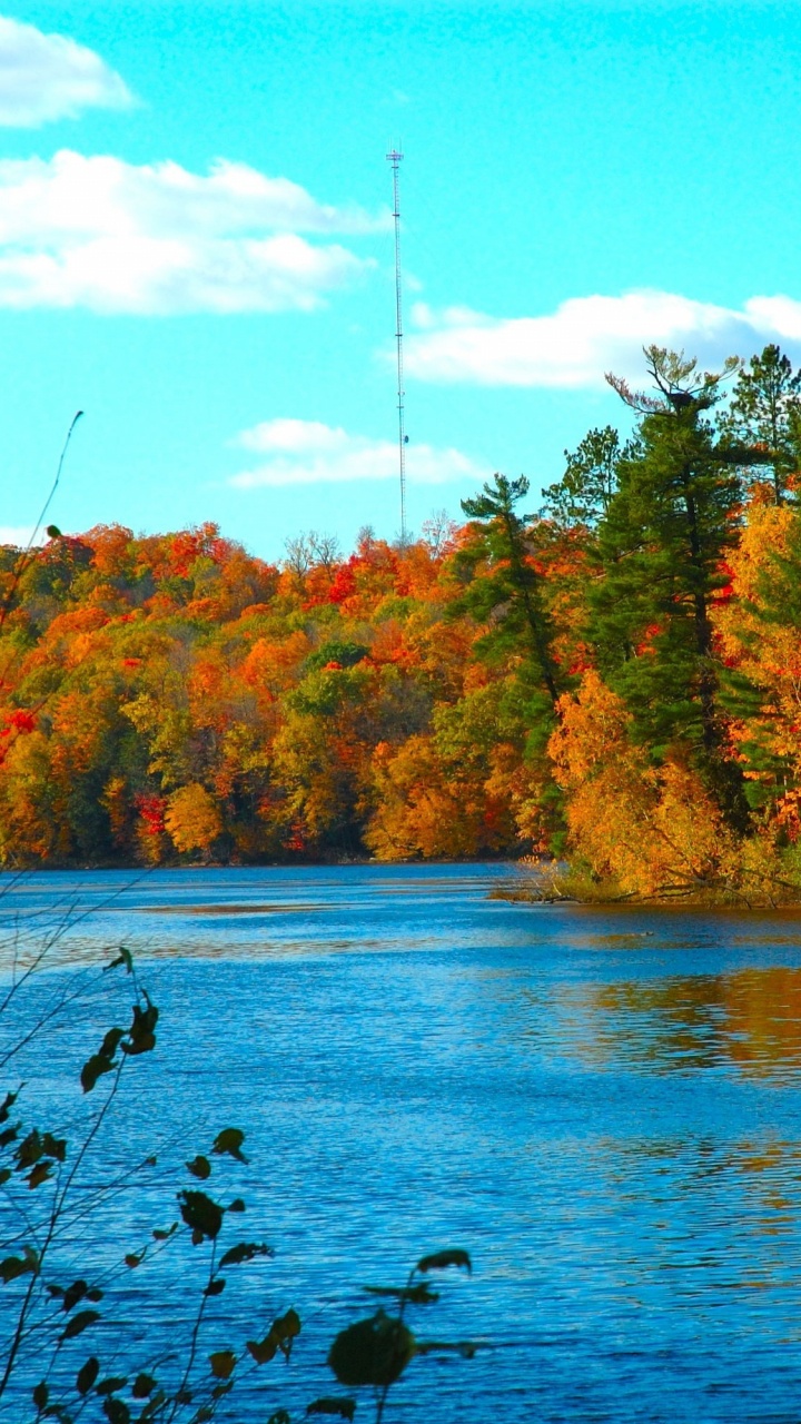 Red and Green Trees Beside Body of Water During Daytime. Wallpaper in 720x1280 Resolution