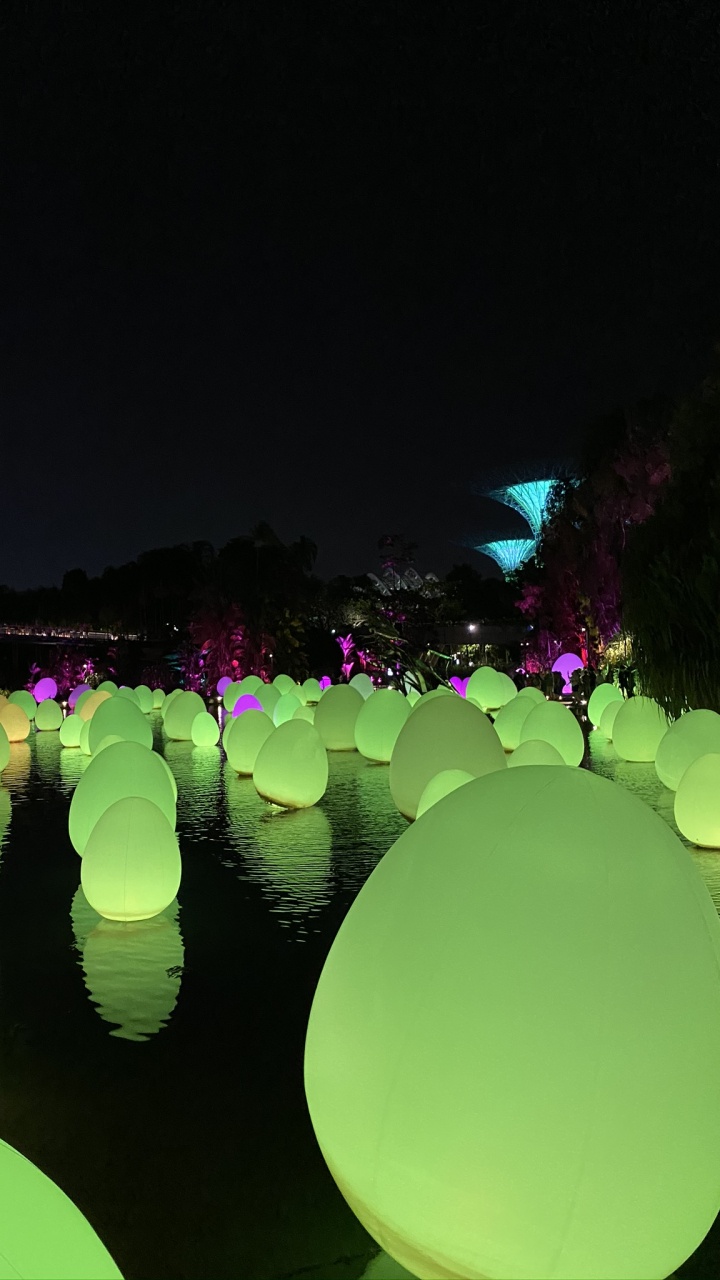 反射, 科学, 生物学, 品红色, 午夜 壁纸 720x1280 允许