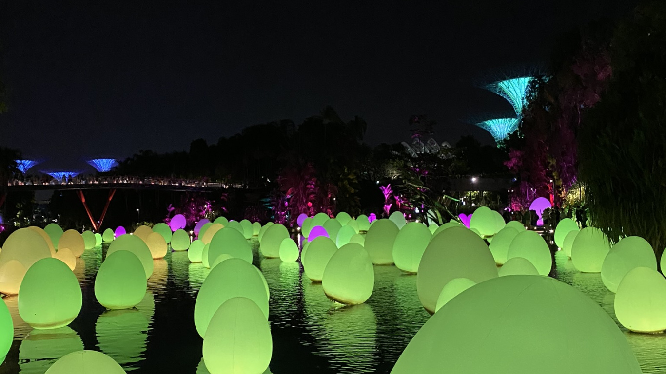 Singapore, Reflection, Water, Science, Biology. Wallpaper in 1366x768 Resolution