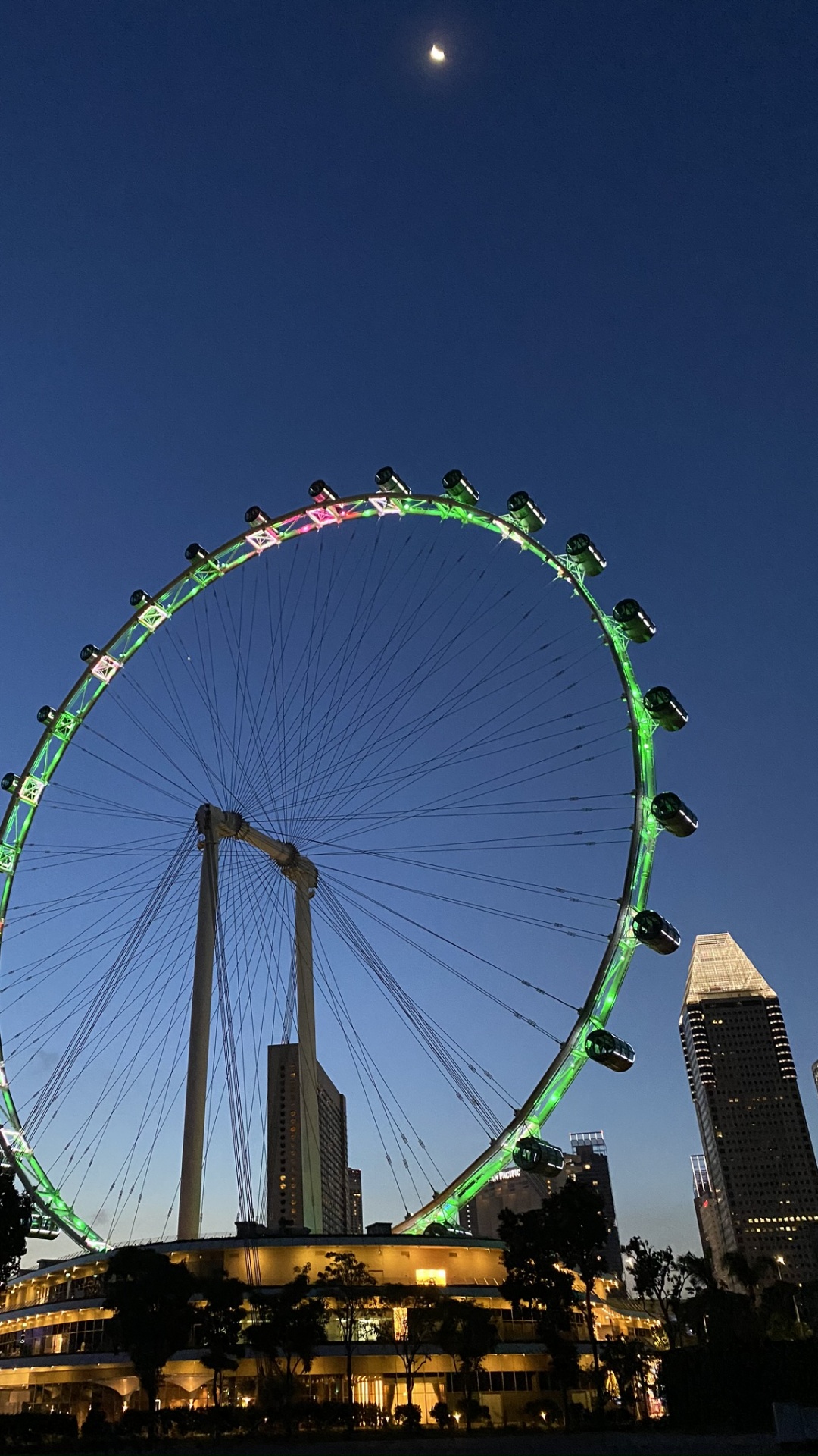 Singapur Attraktionen, Riesenrad, Natur, Tageszeit, Metropole. Wallpaper in 1080x1920 Resolution