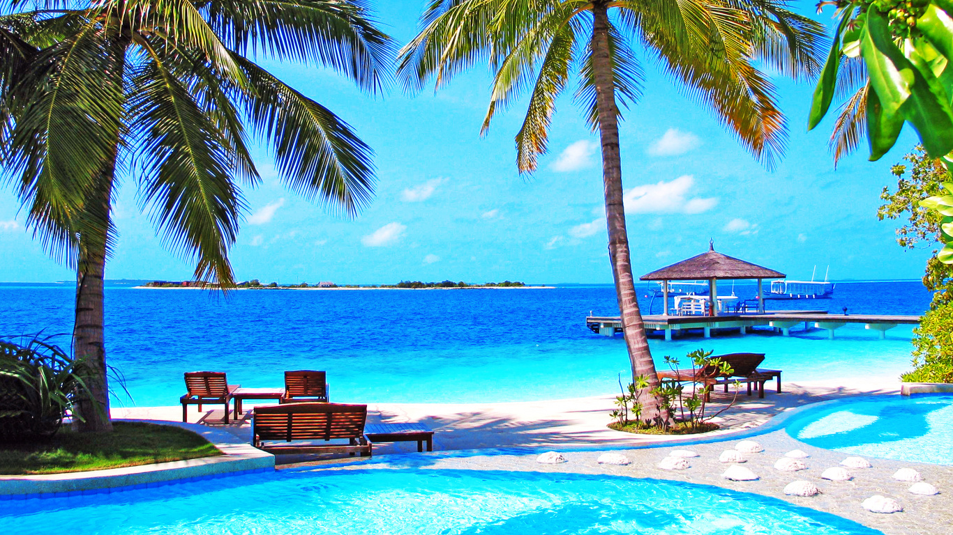 Palm Tree Near Body of Water During Daytime. Wallpaper in 1366x768 Resolution