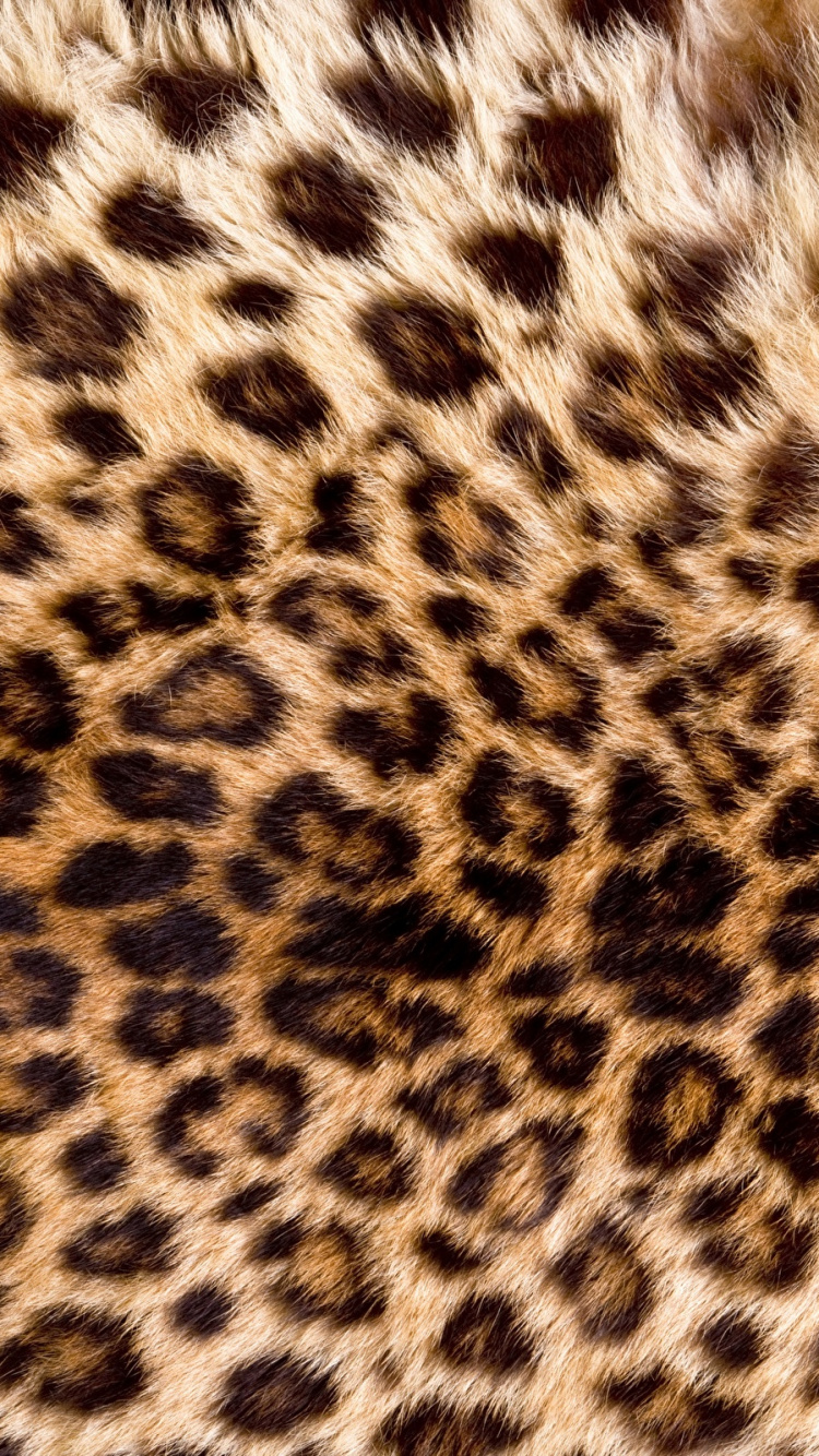 Textil de Leopardo Blanco y Negro. Wallpaper in 750x1334 Resolution