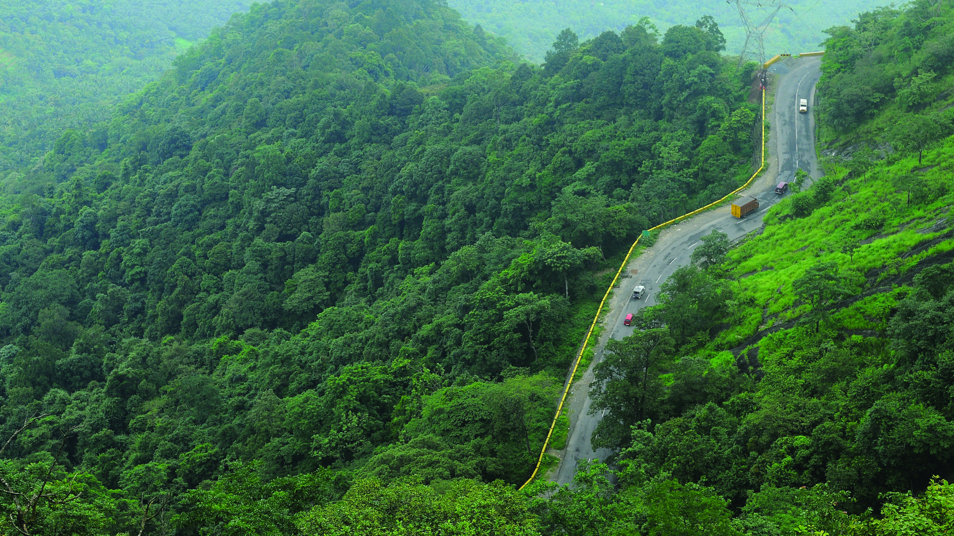 Aerial View of Green Forest During Daytime. Wallpaper in 1920x1080 Resolution