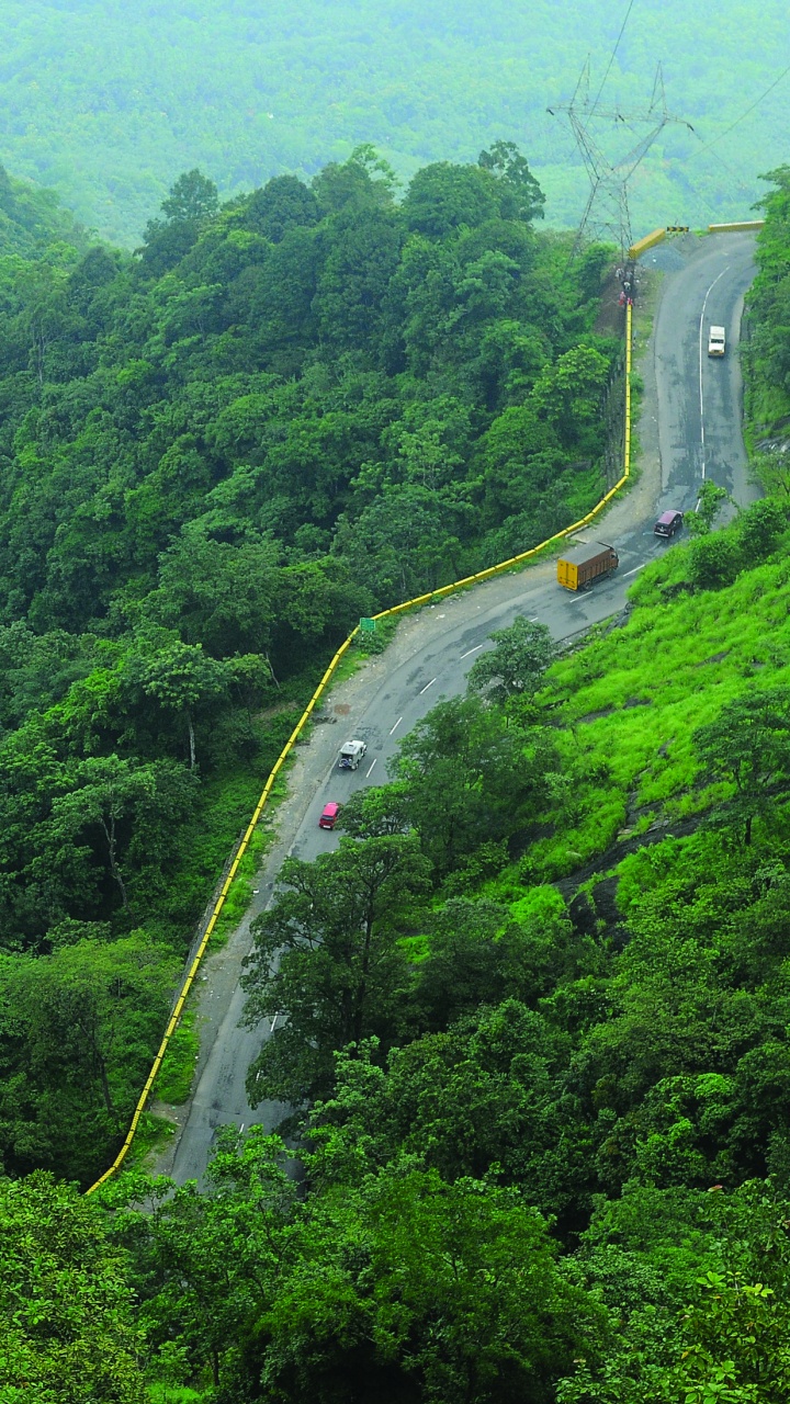 Aerial View of Green Forest During Daytime. Wallpaper in 720x1280 Resolution