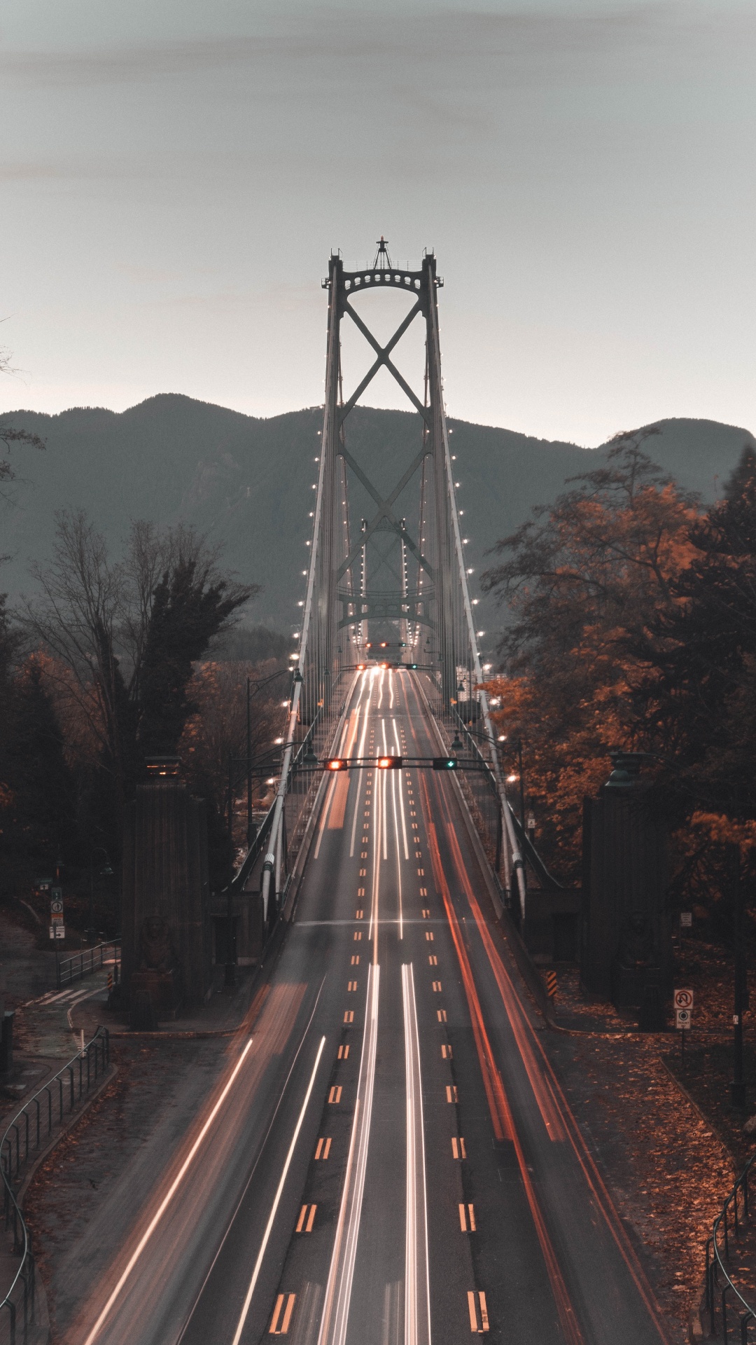 Photographie en Accéléré de Voitures Sur le Pont Pendant la Nuit. Wallpaper in 1080x1920 Resolution