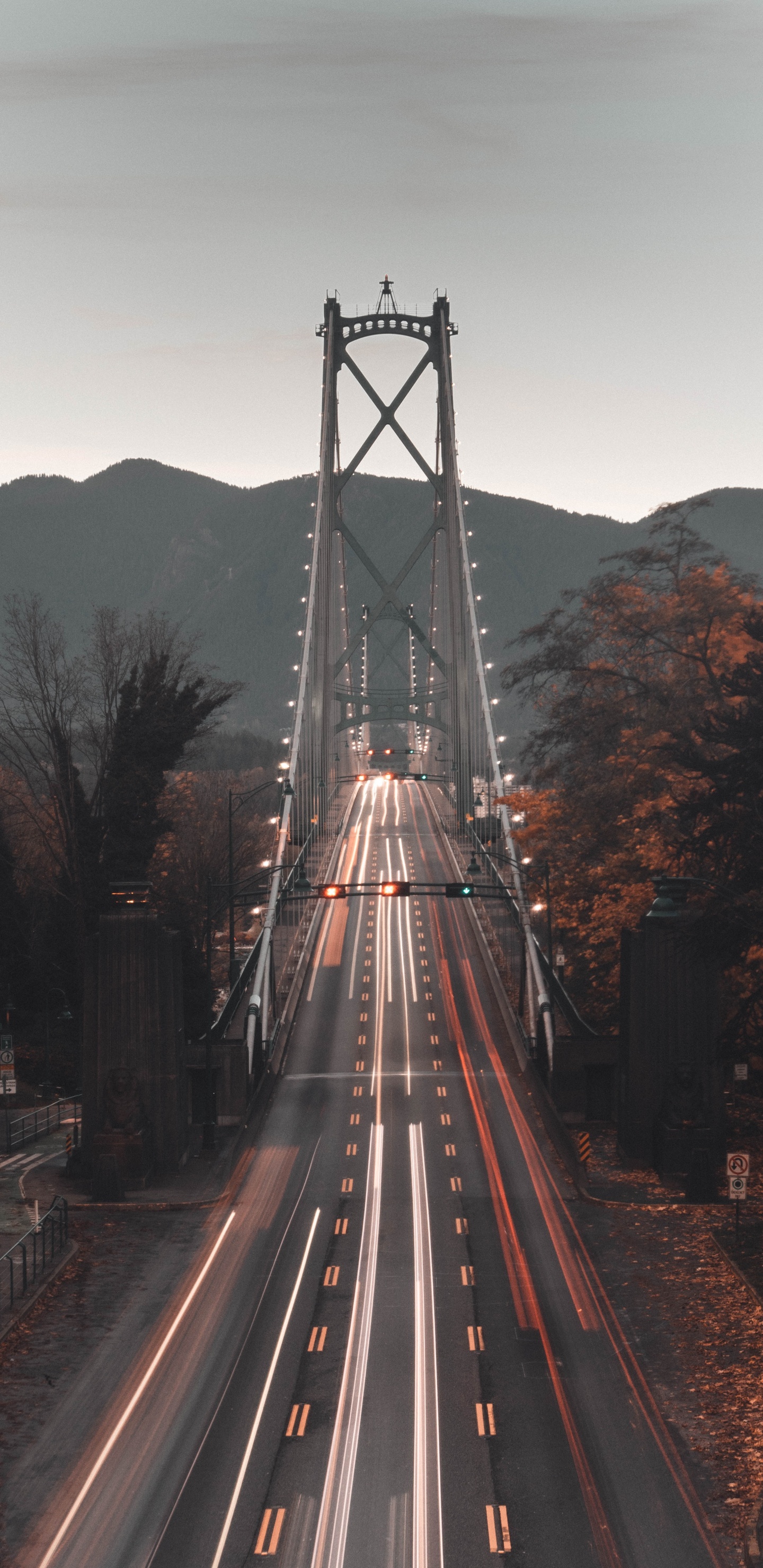 Zeitrafferaufnahmen Von Autos Auf Der Brücke Bei Nacht. Wallpaper in 1440x2960 Resolution