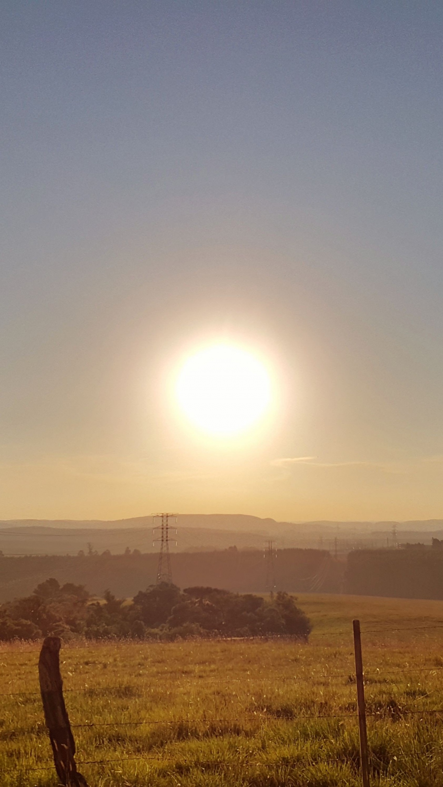 Campo de Hierba Verde Durante el Día. Wallpaper in 1440x2560 Resolution