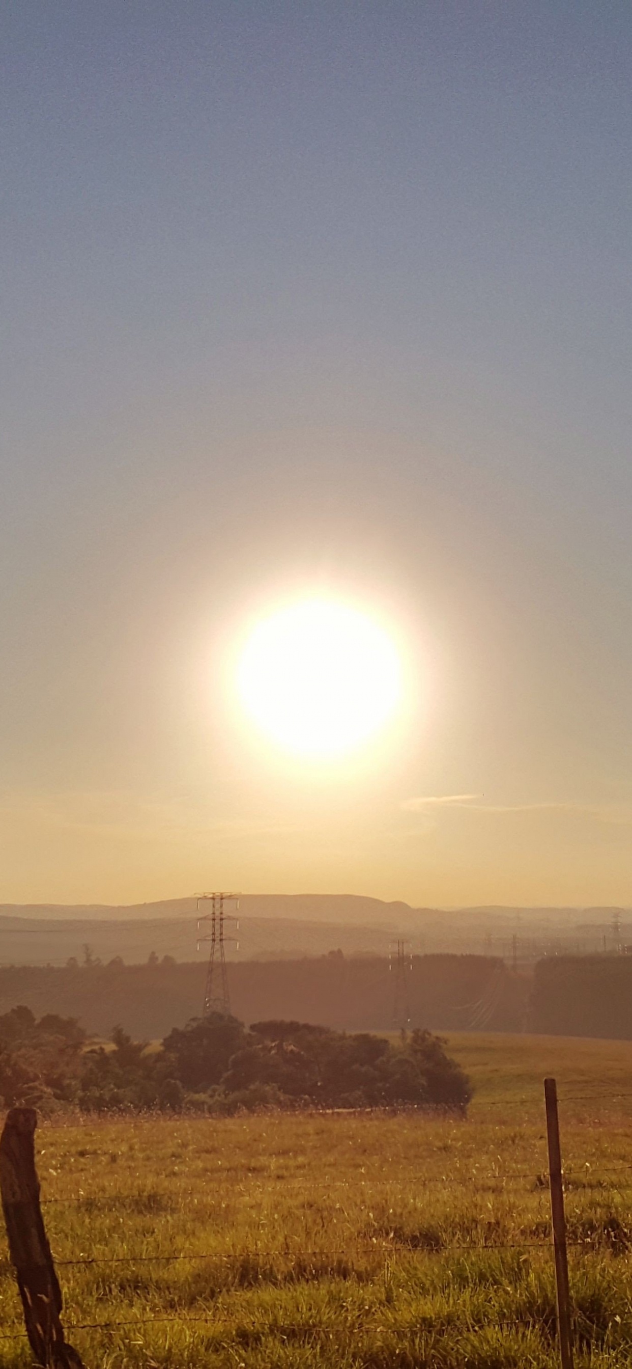 Champ D'herbe Verte Pendant la Journée. Wallpaper in 1242x2688 Resolution