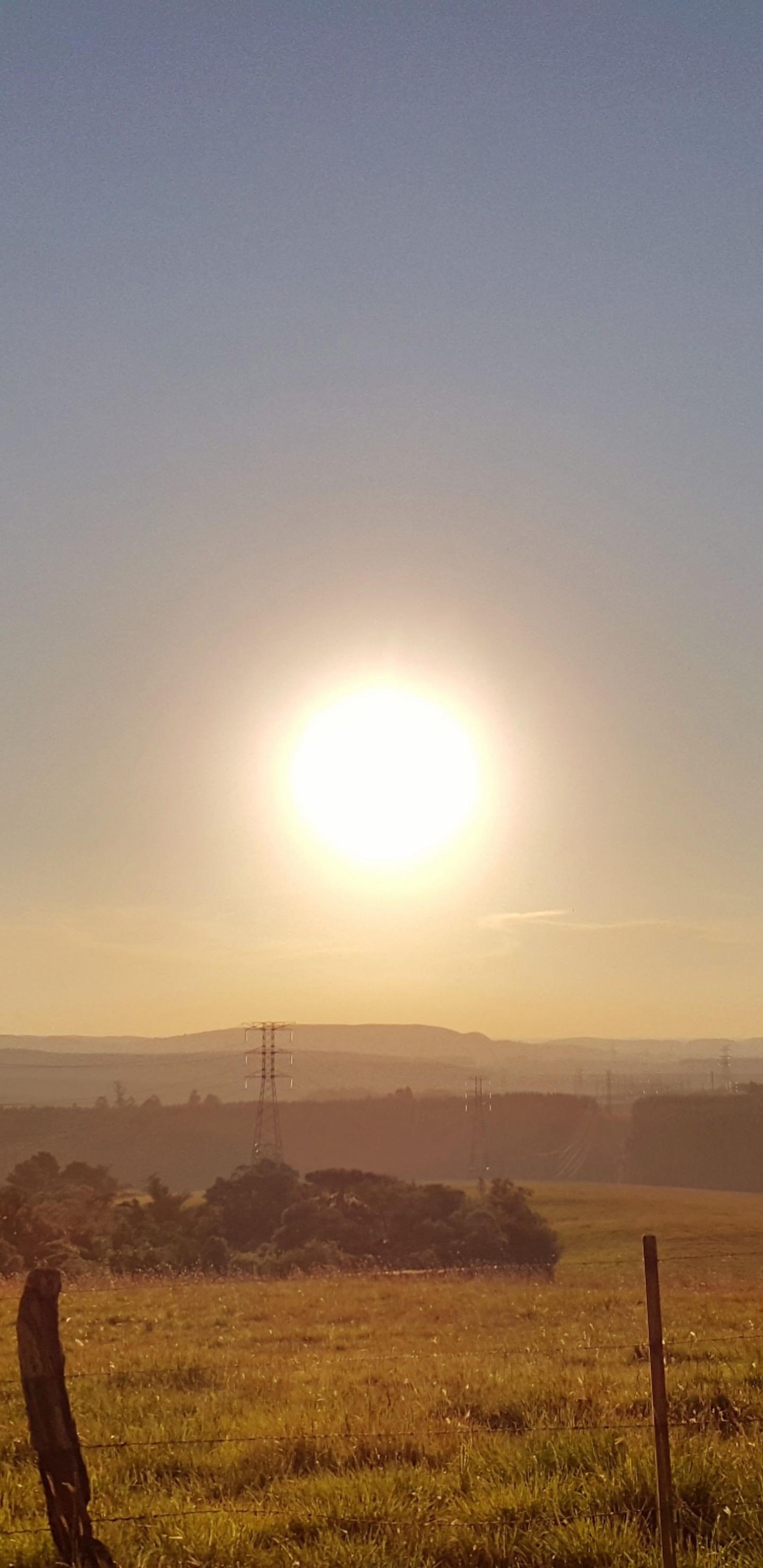 Champ D'herbe Verte Pendant la Journée. Wallpaper in 1440x2960 Resolution