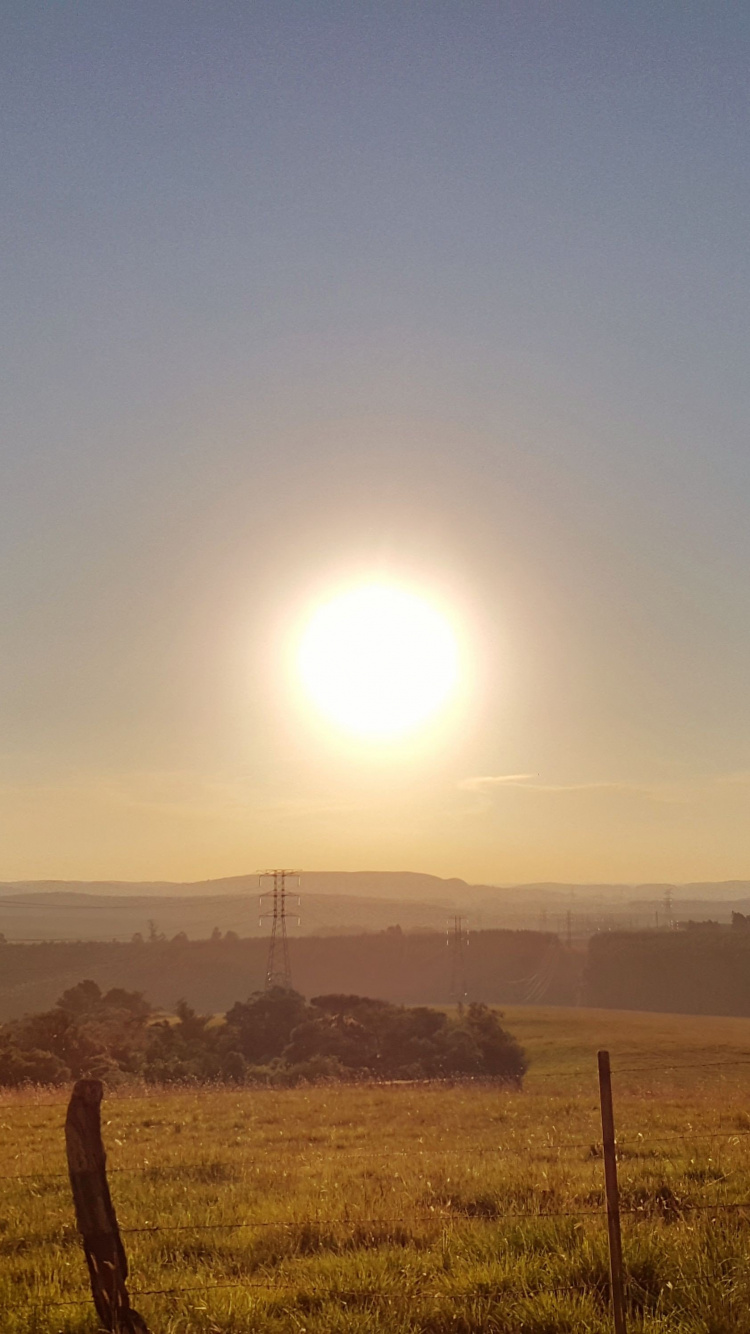地平线, 早上, 普通的, 太阳, 日出 壁纸 750x1334 允许