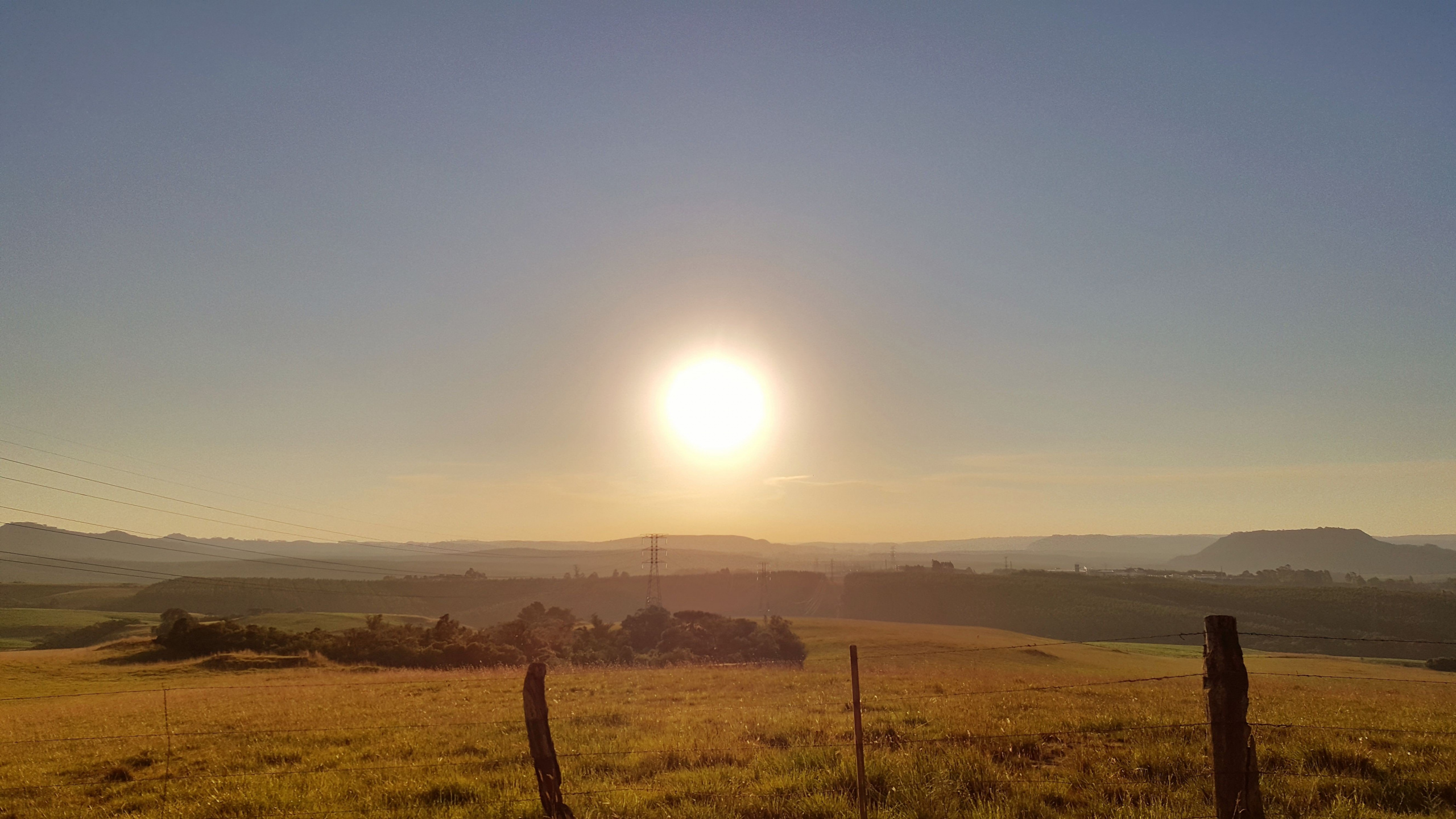Green Grass Field During Daytime. Wallpaper in 2560x1440 Resolution