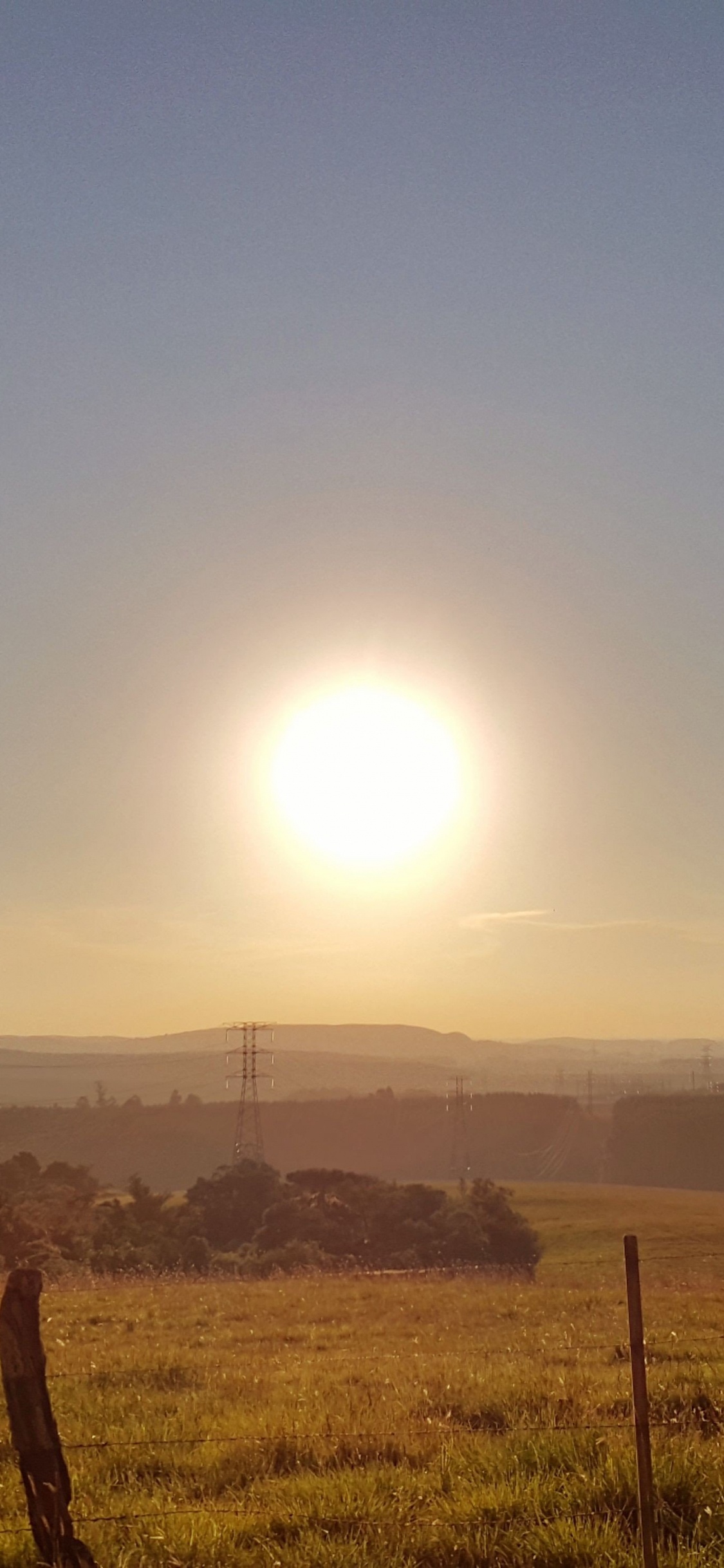 Tagsüber Grüne Wiese. Wallpaper in 1125x2436 Resolution