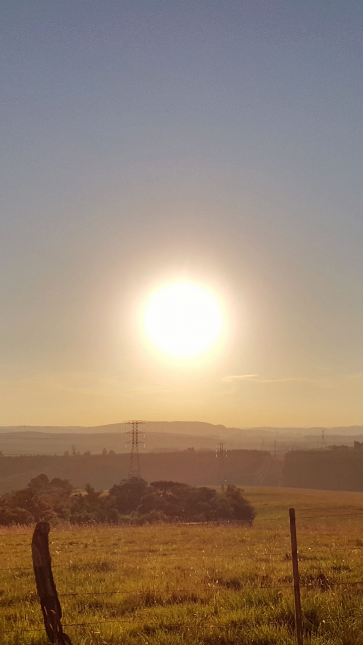 Tagsüber Grüne Wiese. Wallpaper in 720x1280 Resolution