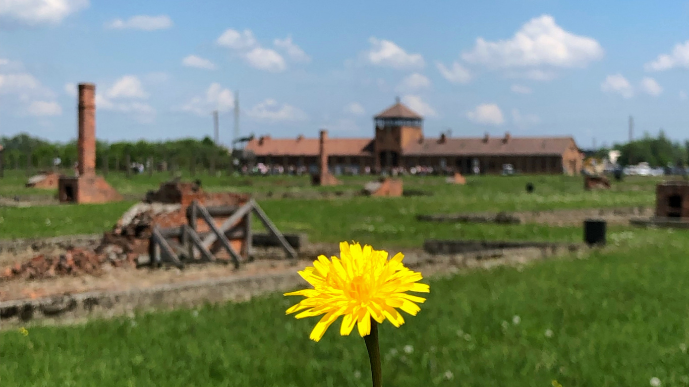 Pistola Espuma Poliuretano 025st, Physics, Daytime, Flower, Land Lot. Wallpaper in 1366x768 Resolution