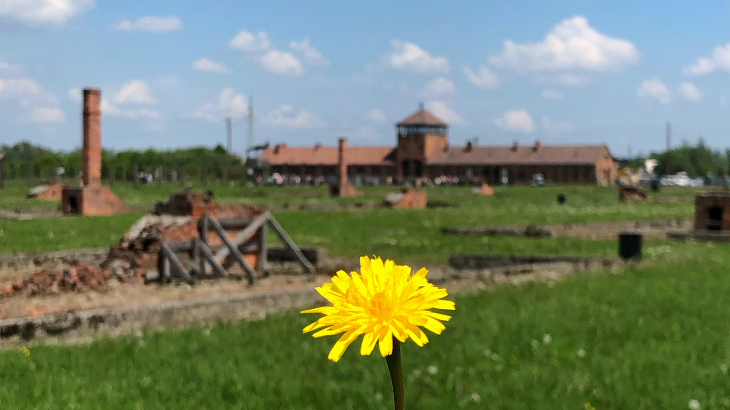 Pistola Espuma Poliuretano 025st, Physics, Daytime, Flower, Land Lot. Wallpaper in 2560x1440 Resolution