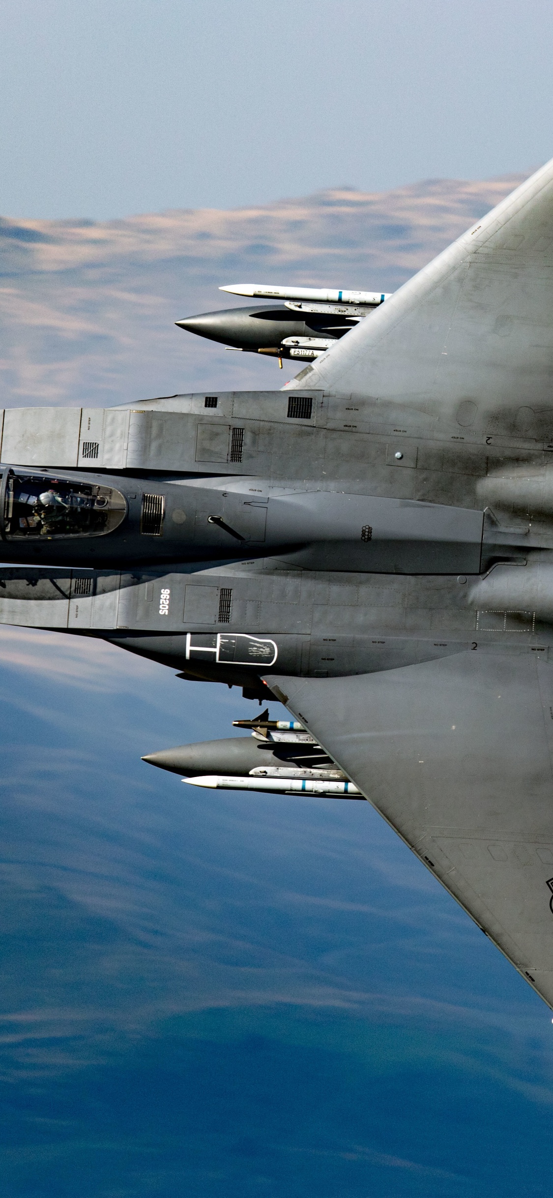 Avión de Combate Gris Volando Sobre el Cielo Azul Durante el Día. Wallpaper in 1125x2436 Resolution