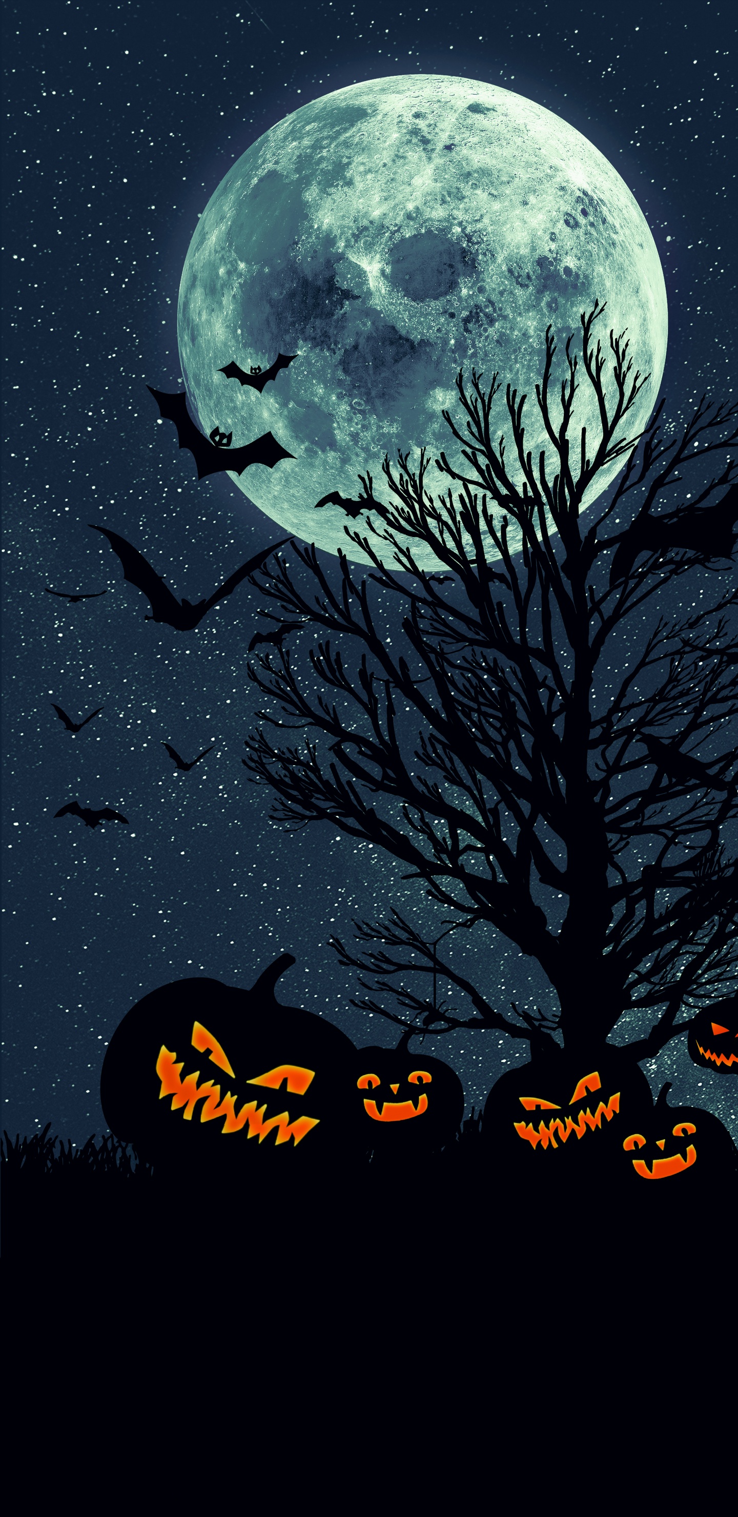 la Lune de la Terre, Terre, Lever de la Terre, Objet Céleste, Atmosphère. Wallpaper in 1440x2960 Resolution