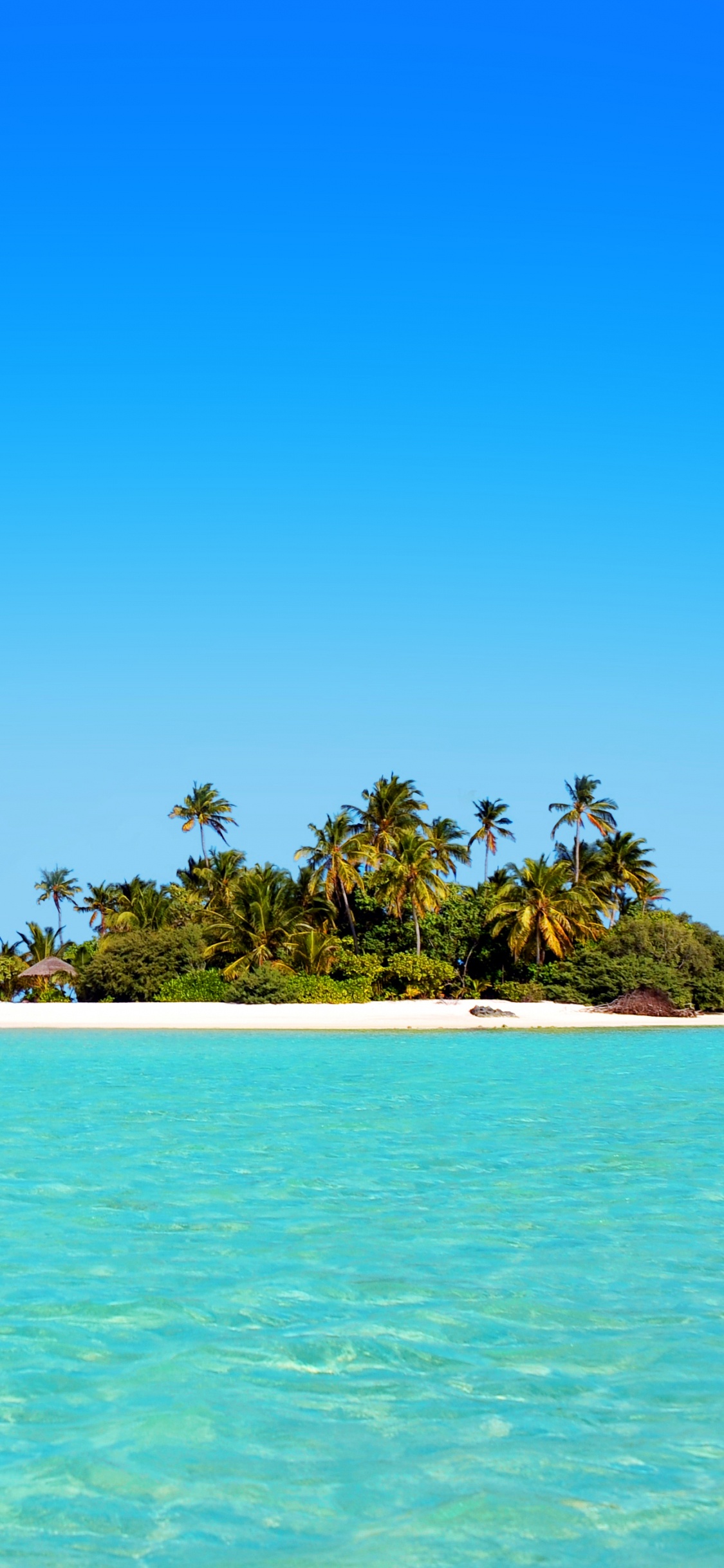 Gente en la Playa Durante el Día.. Wallpaper in 1125x2436 Resolution